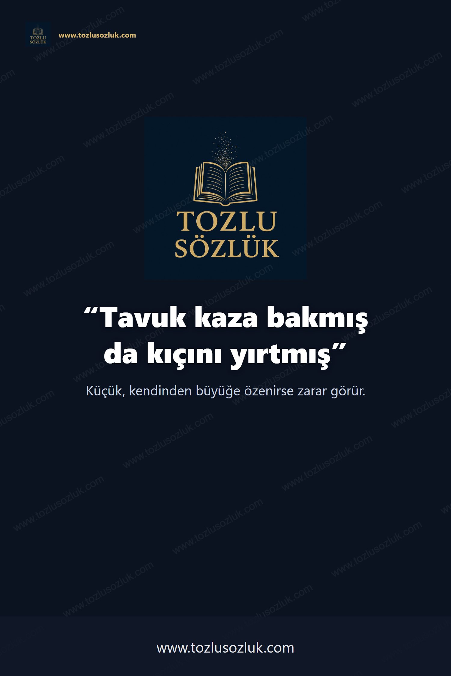 Tavuk kaza bakmış da kıçını yırtmış Pinterest görseli