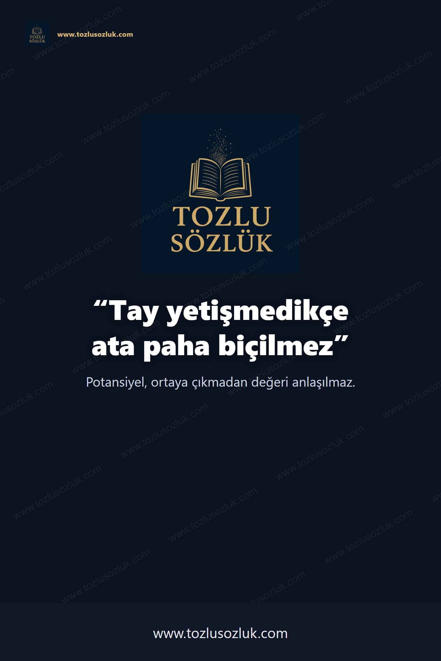 Tay yetişmedikçe ata paha biçilmez Pinterest görseli