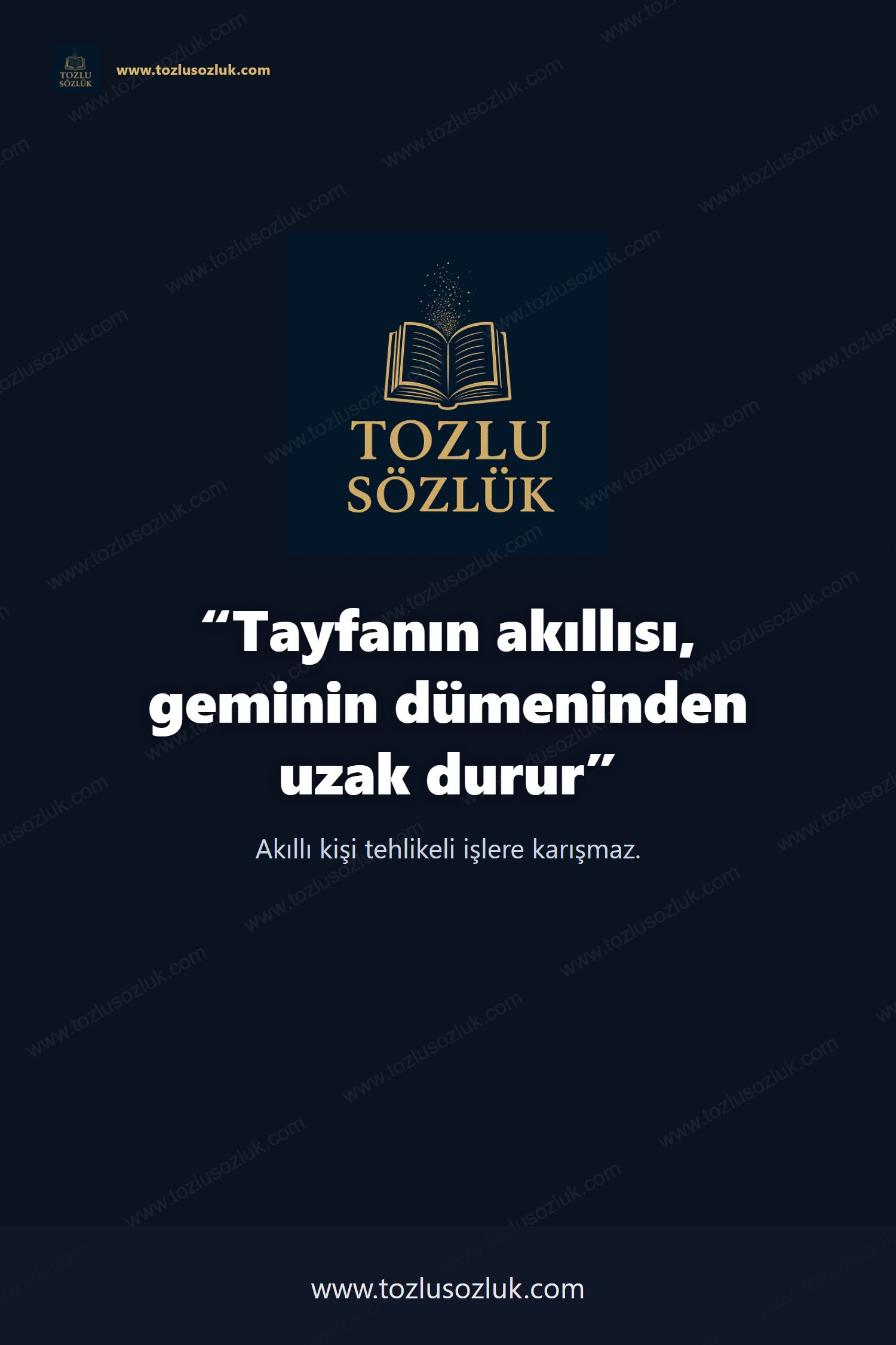 Tayfanın akıllısı, geminin dümeninden uzak durur Pinterest görseli