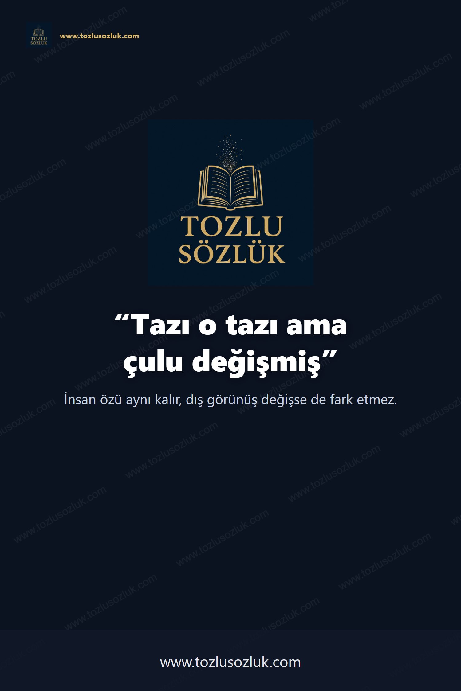 Tazı o tazı ama çulu değişmiş Pinterest görseli