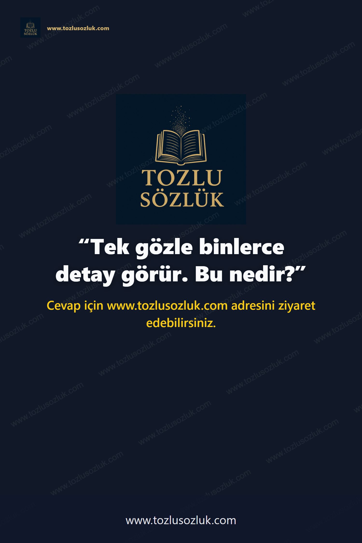 Tek gözle binlerce detay görür. Bu nedir? Pinterest görseli