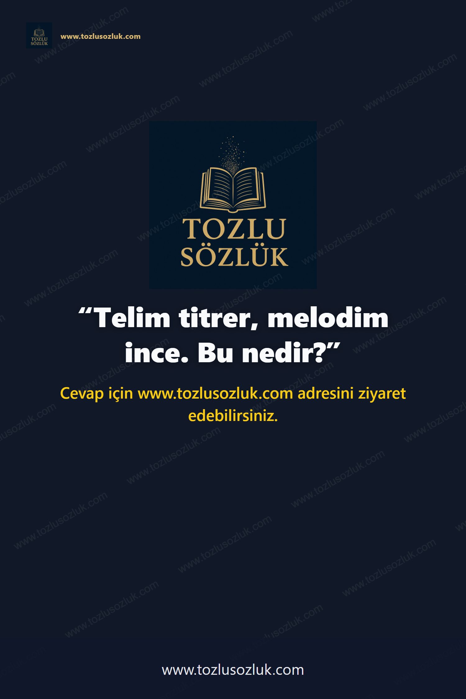 Telim titrer, melodim ince. Bu nedir? Pinterest görseli