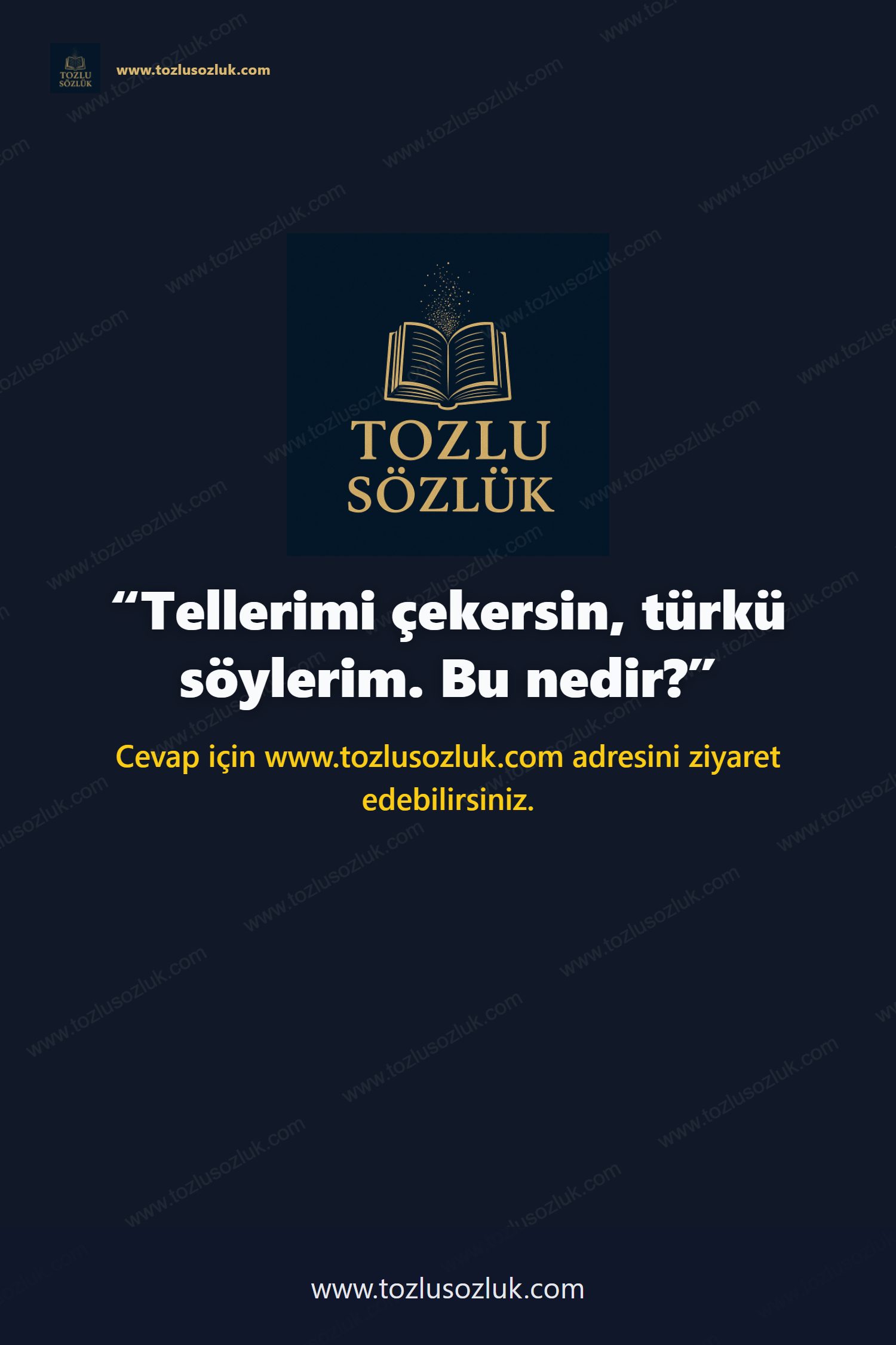 Tellerimi çekersin, türkü söylerim. Bu nedir? Pinterest görseli