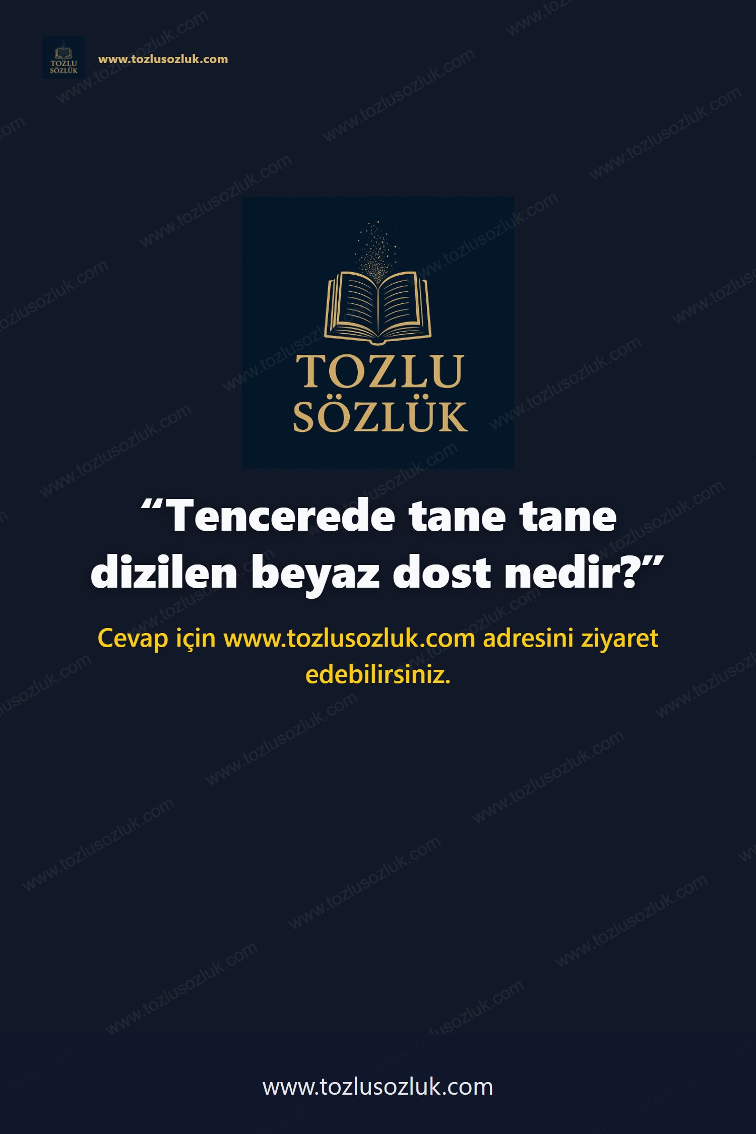 Tencerede tane tane dizilen beyaz dost nedir? Pinterest görseli