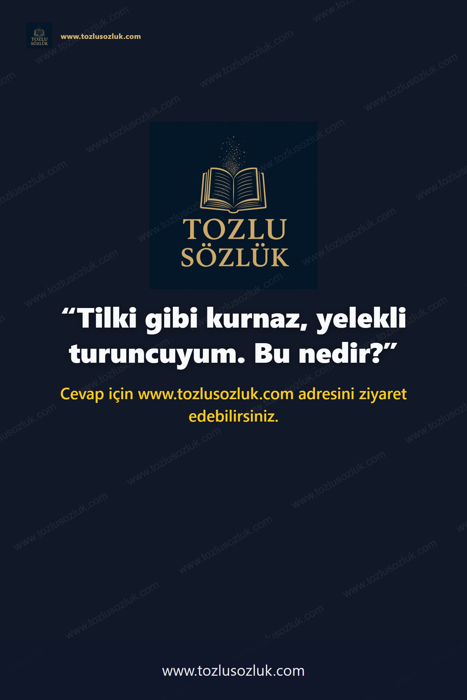 Tilki gibi kurnaz, yelekli turuncuyum. Bu nedir? Pinterest görseli