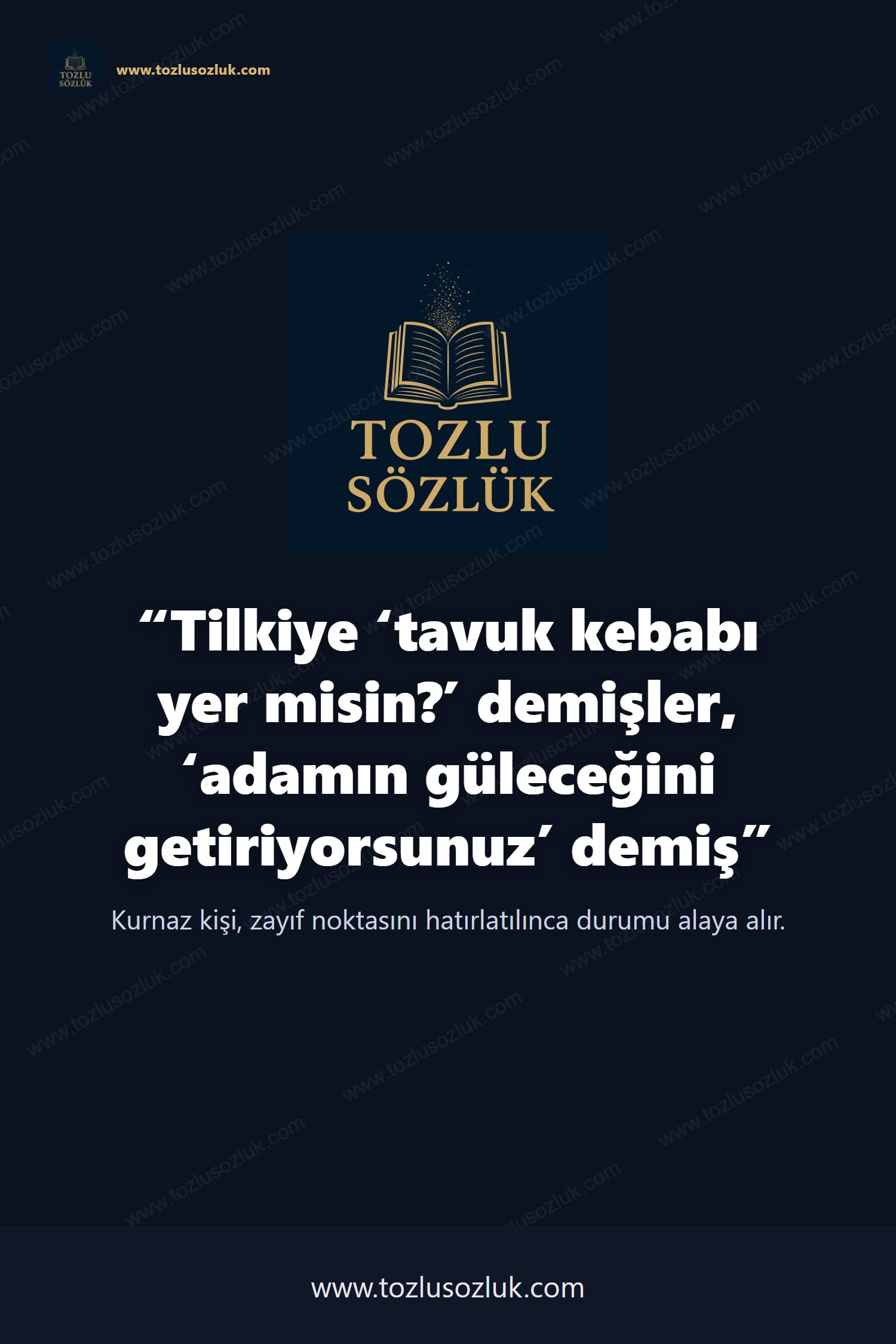 Tilkiye ‘tavuk kebabı yer misin?’ demişler, ‘adamın güleceğini getiriyorsunuz’ demiş Pinterest görseli