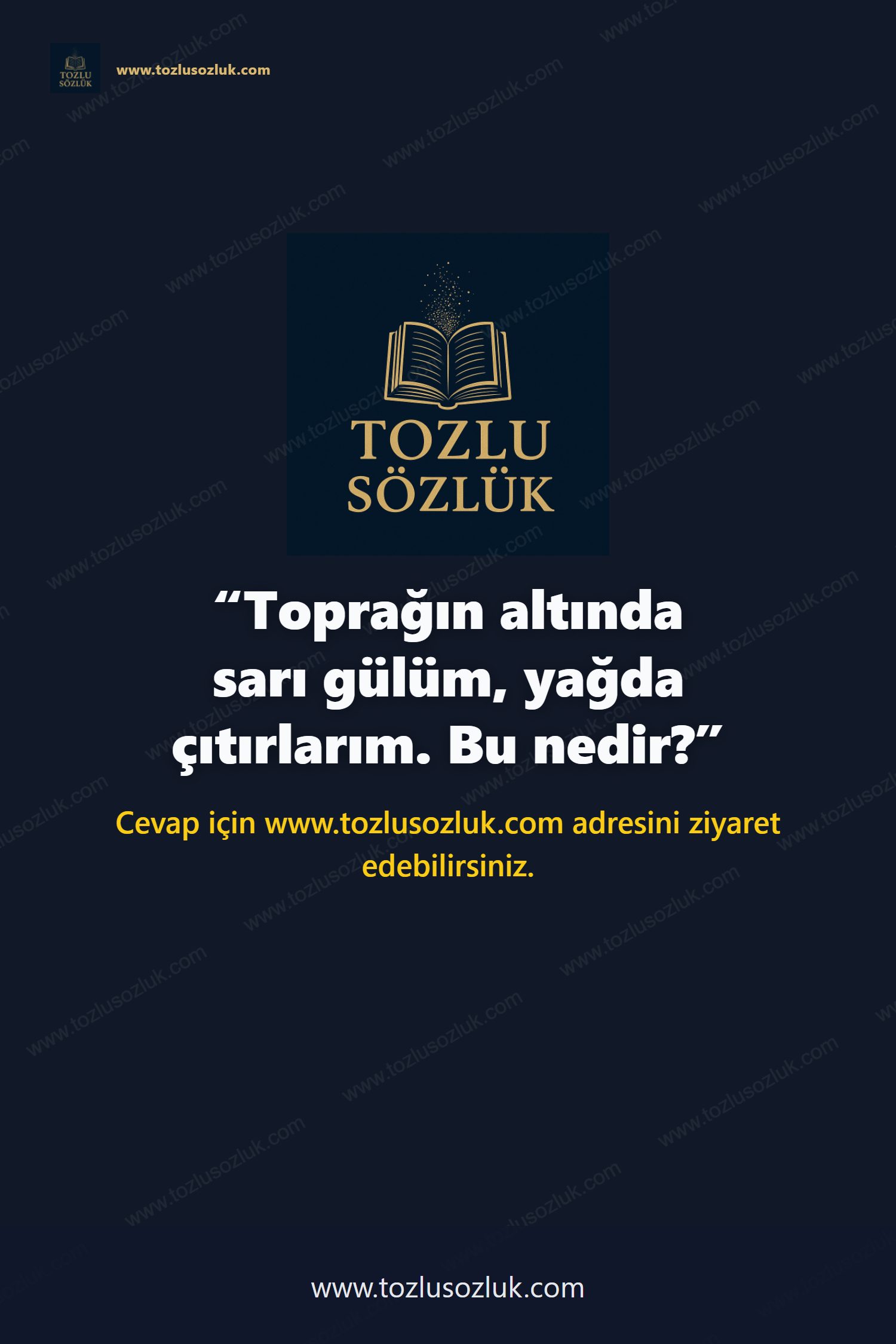 Toprağın altında sarı gülüm, yağda çıtırlarım. Bu nedir? Pinterest görseli