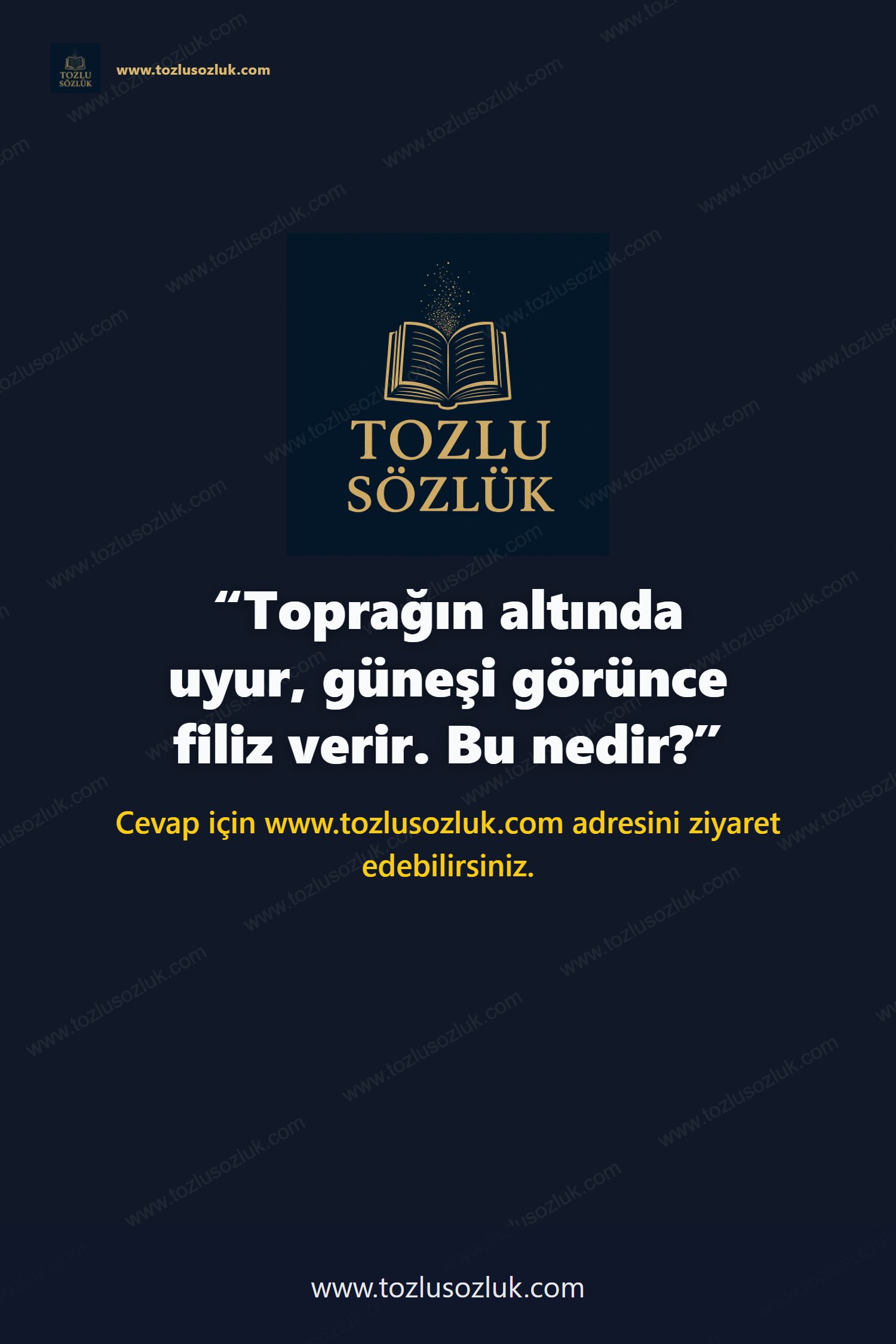 Toprağın altında uyur, güneşi görünce filiz verir. Bu nedir? Pinterest görseli