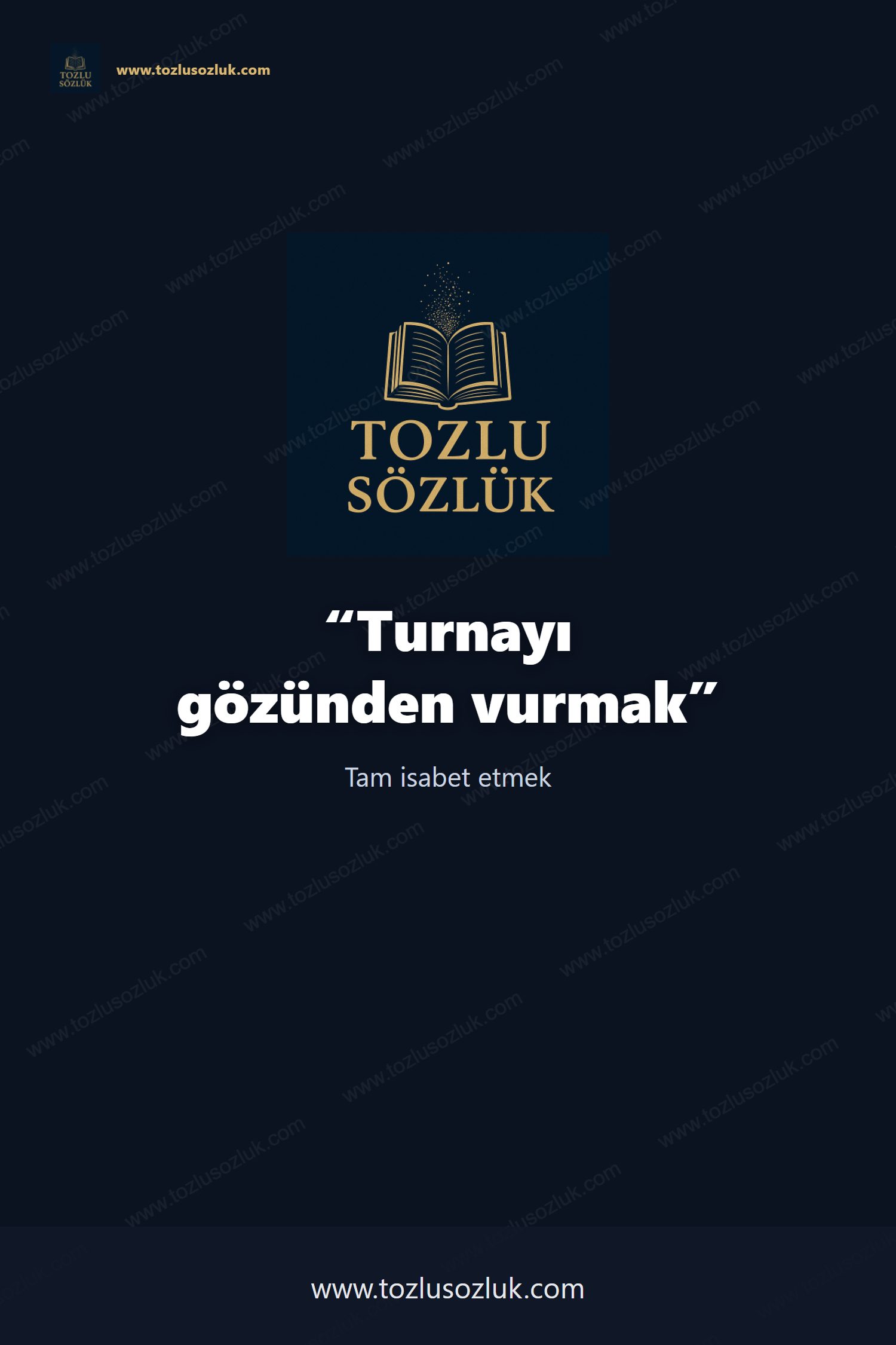 Turnayı gözünden vurmak Pinterest görseli
