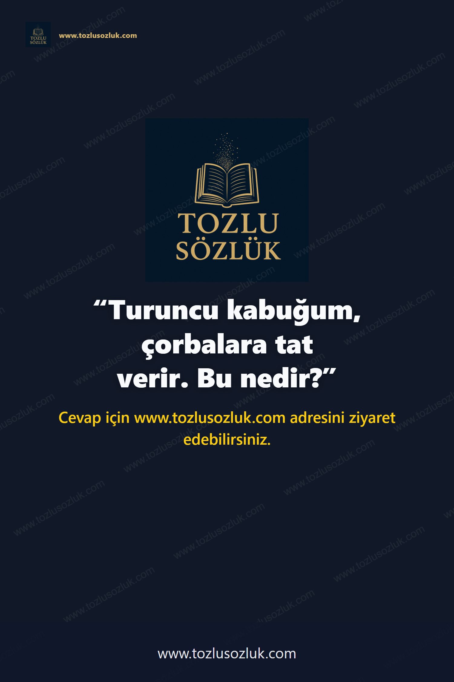Turuncu kabuğum, çorbalara tat verir. Bu nedir? Pinterest görseli
