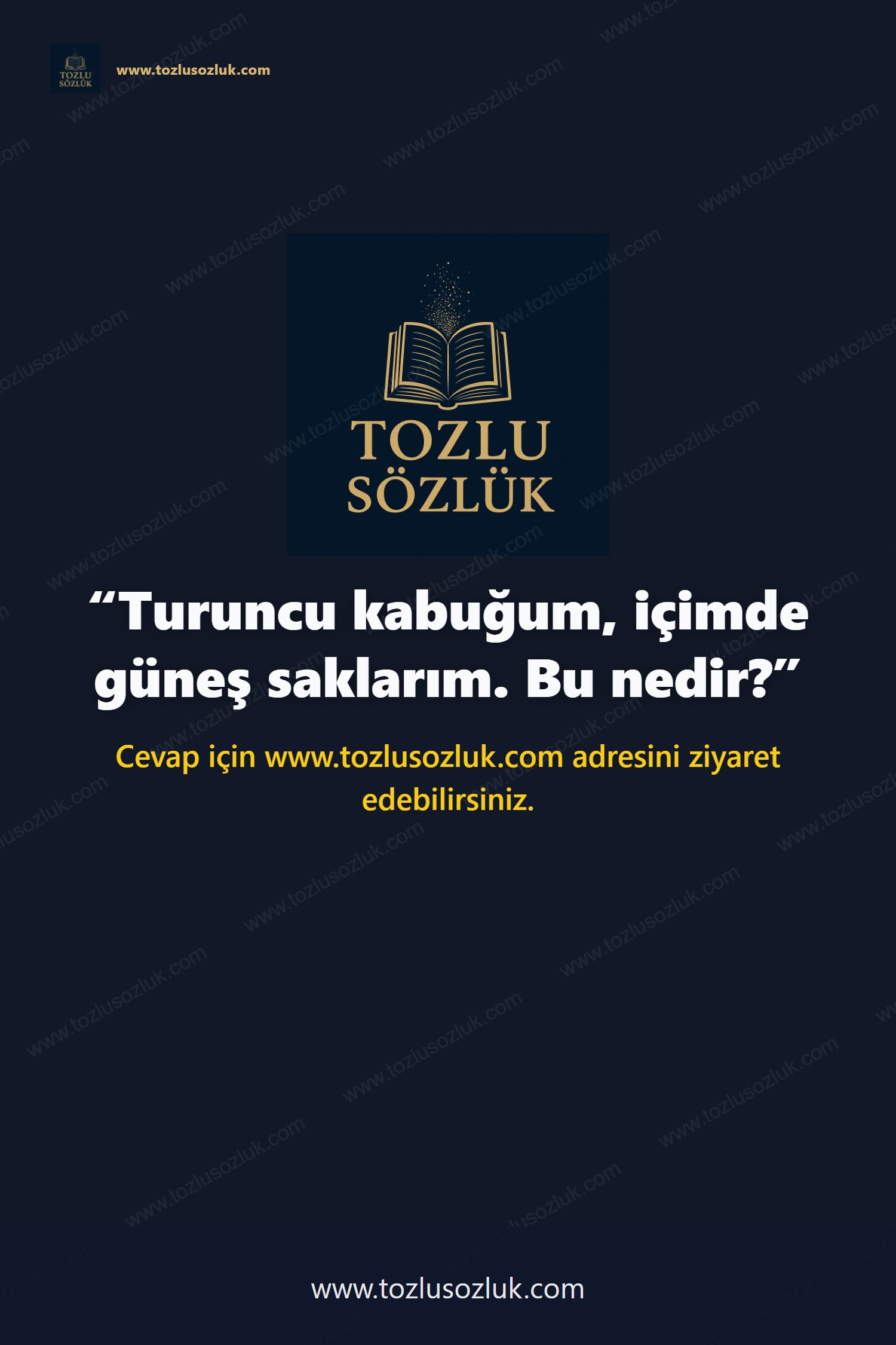 Turuncu kabuğum, içimde güneş saklarım. Bu nedir? Pinterest görseli