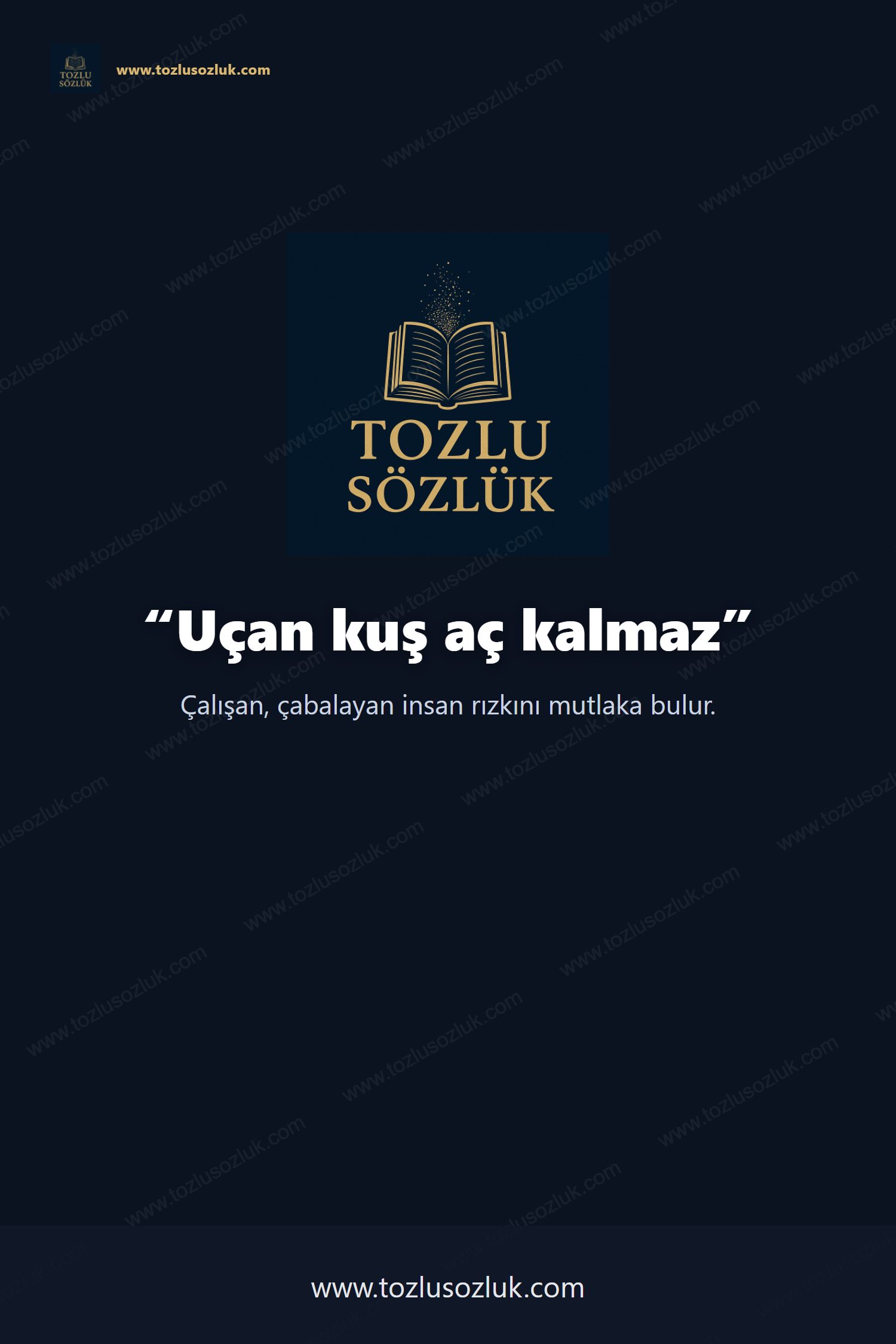 Uçan kuş aç kalmaz Pinterest görseli