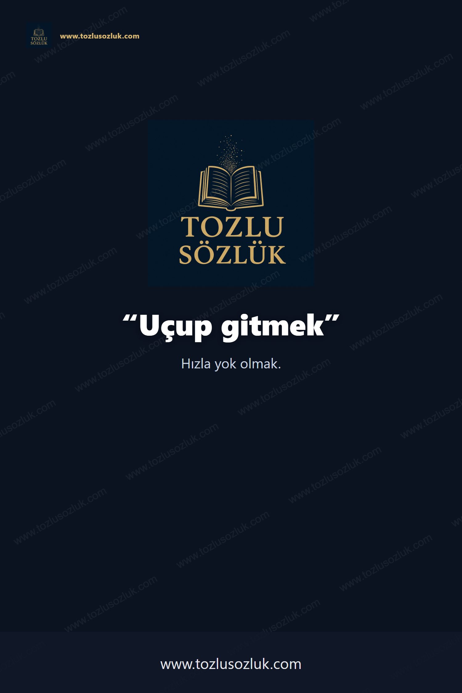 Uçup gitmek Pinterest görseli