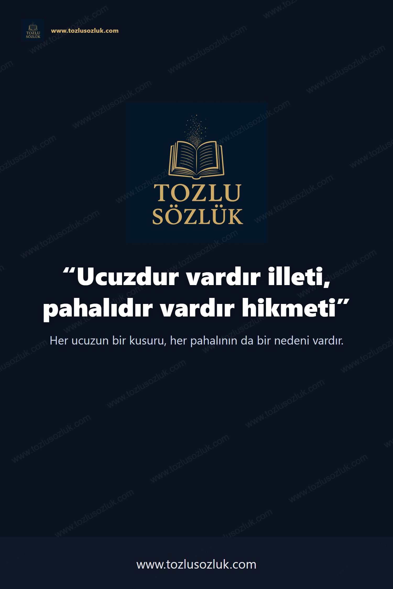 Ucuzdur vardır illeti, pahalıdır vardır hikmeti Pinterest görseli