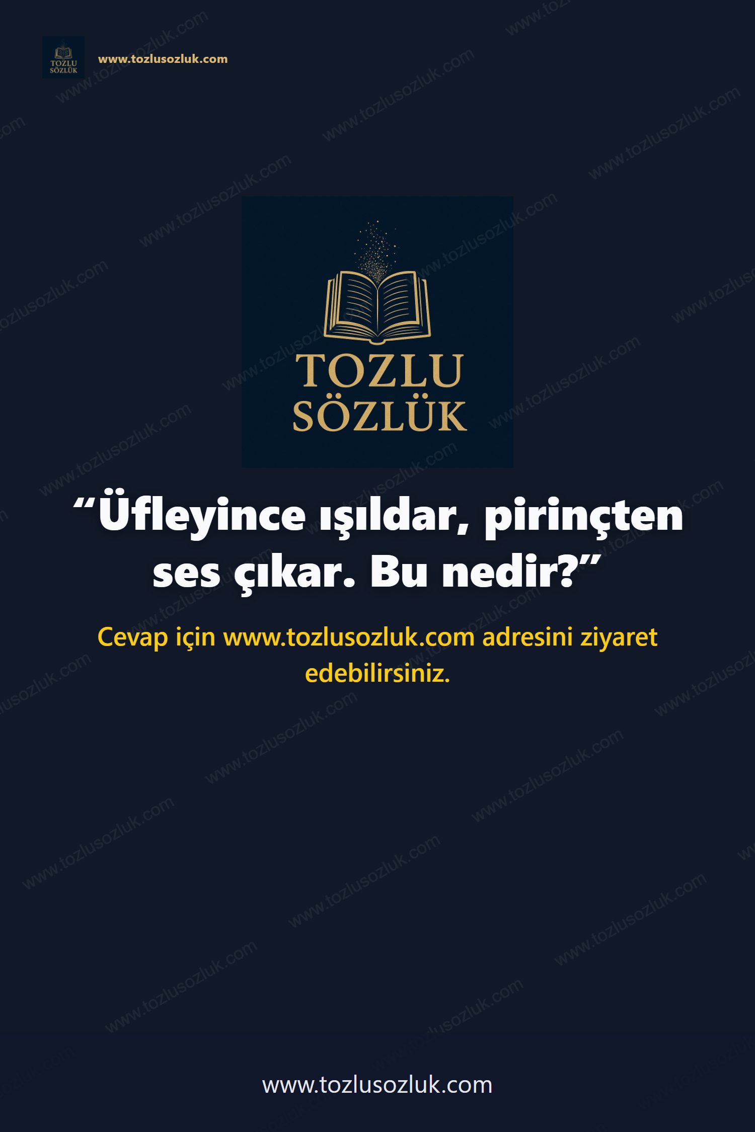 Üfleyince ışıldar, pirinçten ses çıkar. Bu nedir? Pinterest görseli