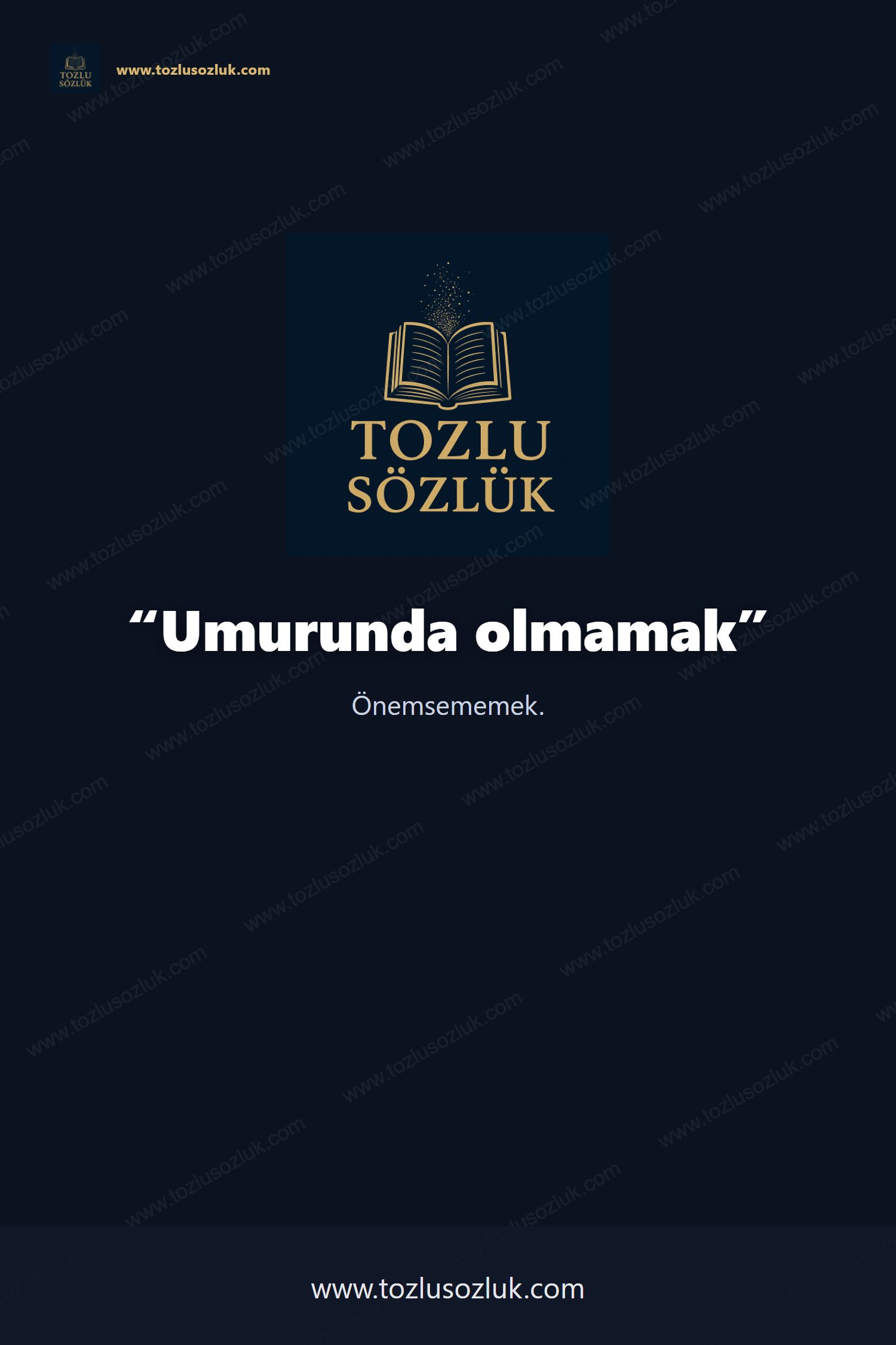 Umurunda olmamak Pinterest görseli