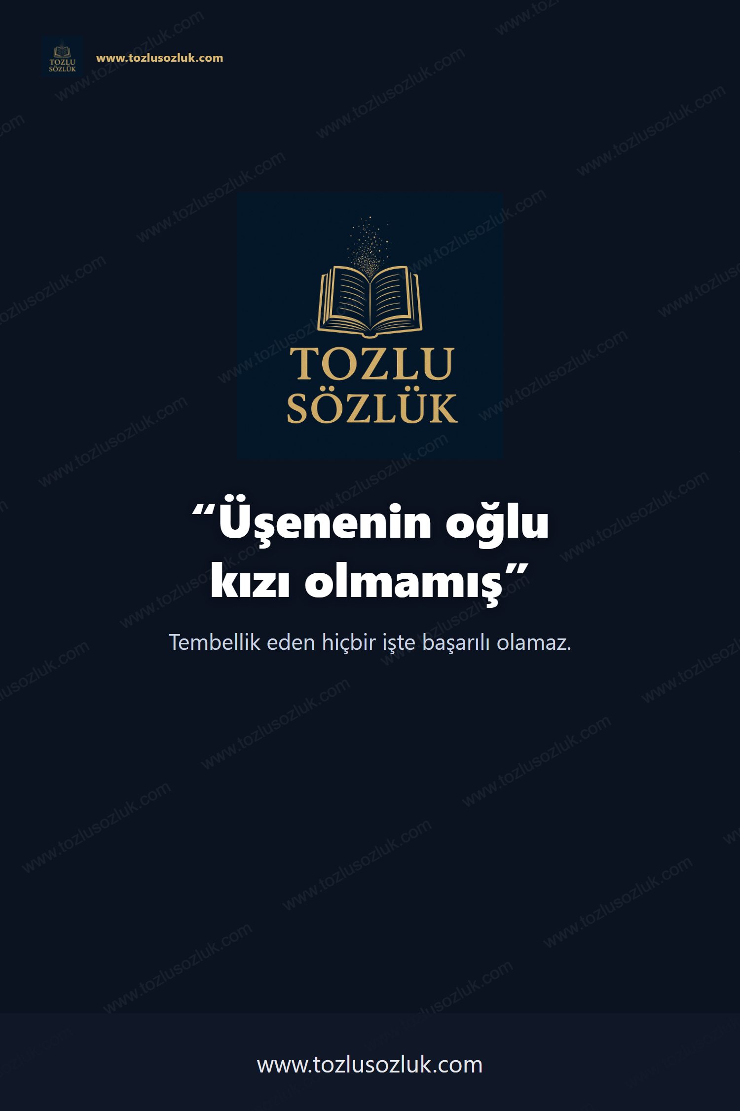 Üşenenin oğlu kızı olmamış Pinterest görseli