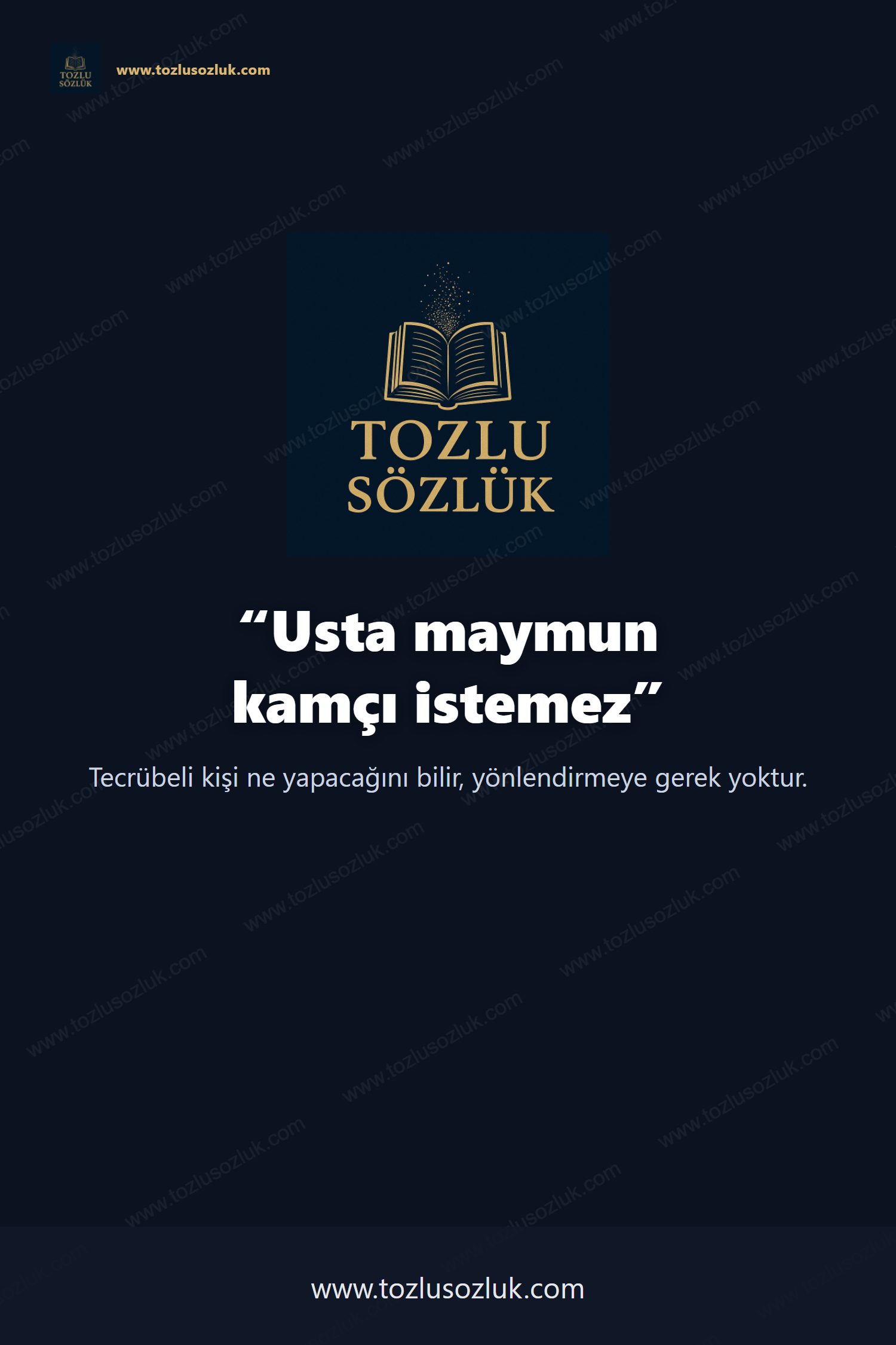 Usta maymun kamçı istemez Pinterest görseli