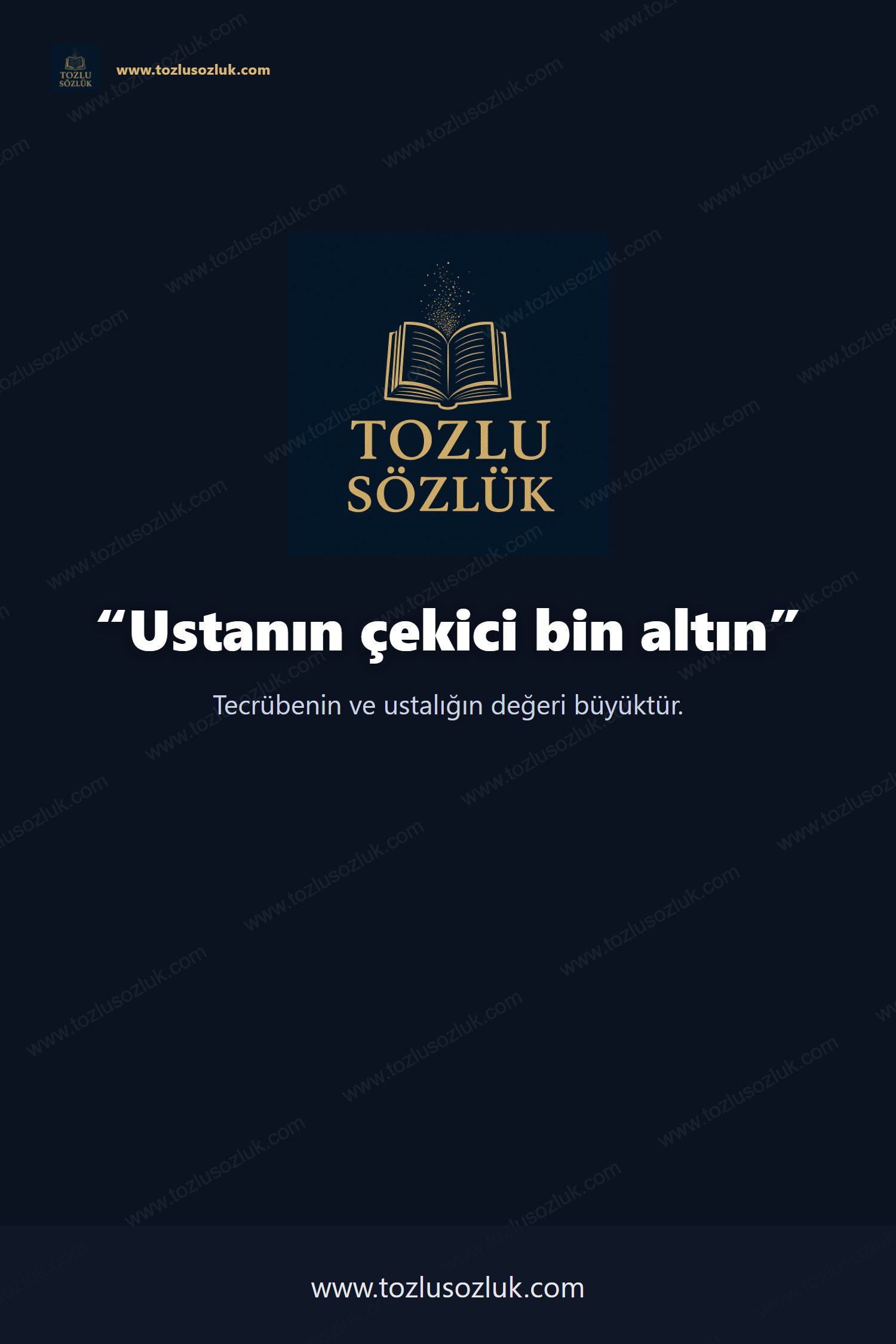 Ustanın çekici bin altın Pinterest görseli