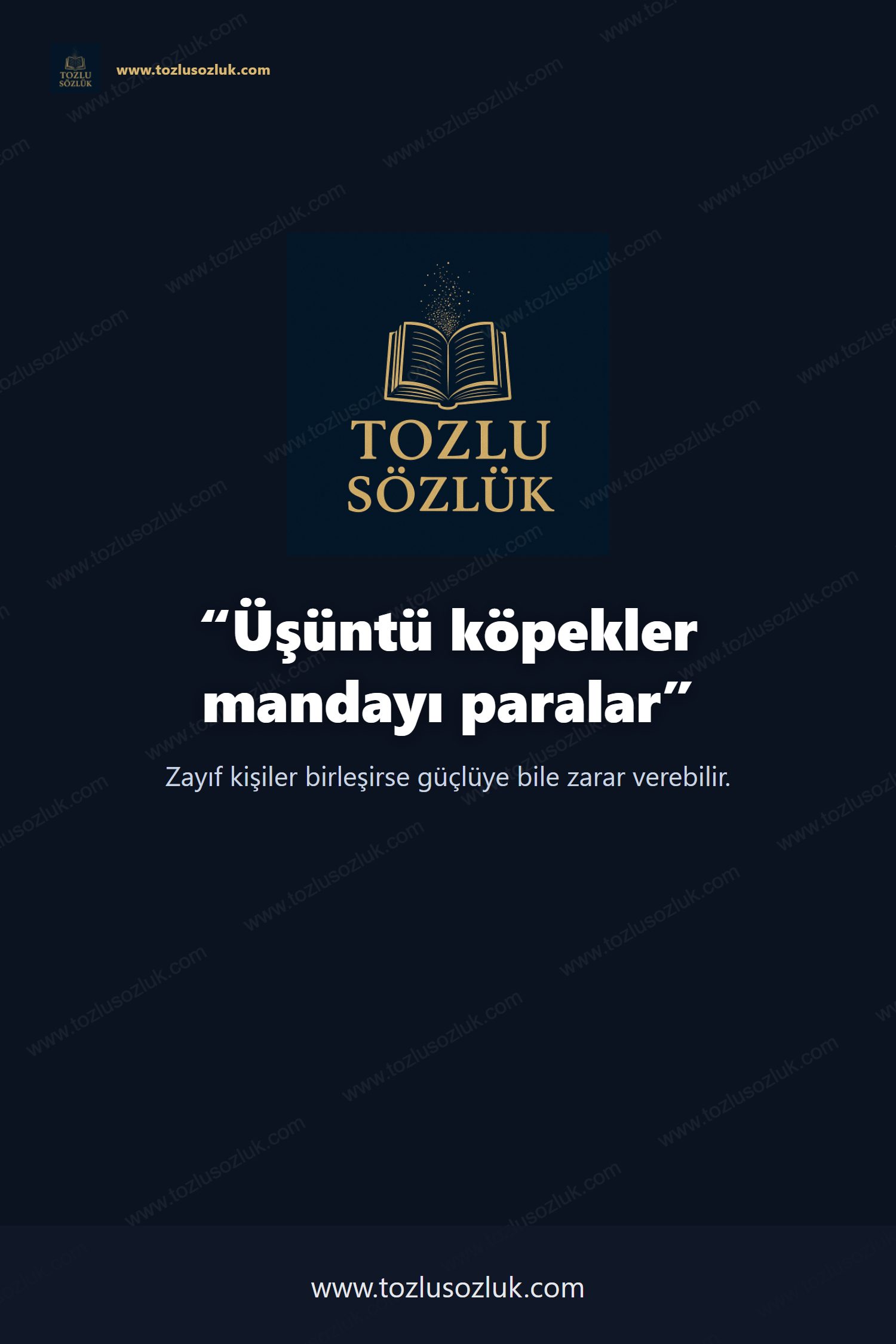 Üşüntü köpekler mandayı paralar Pinterest görseli