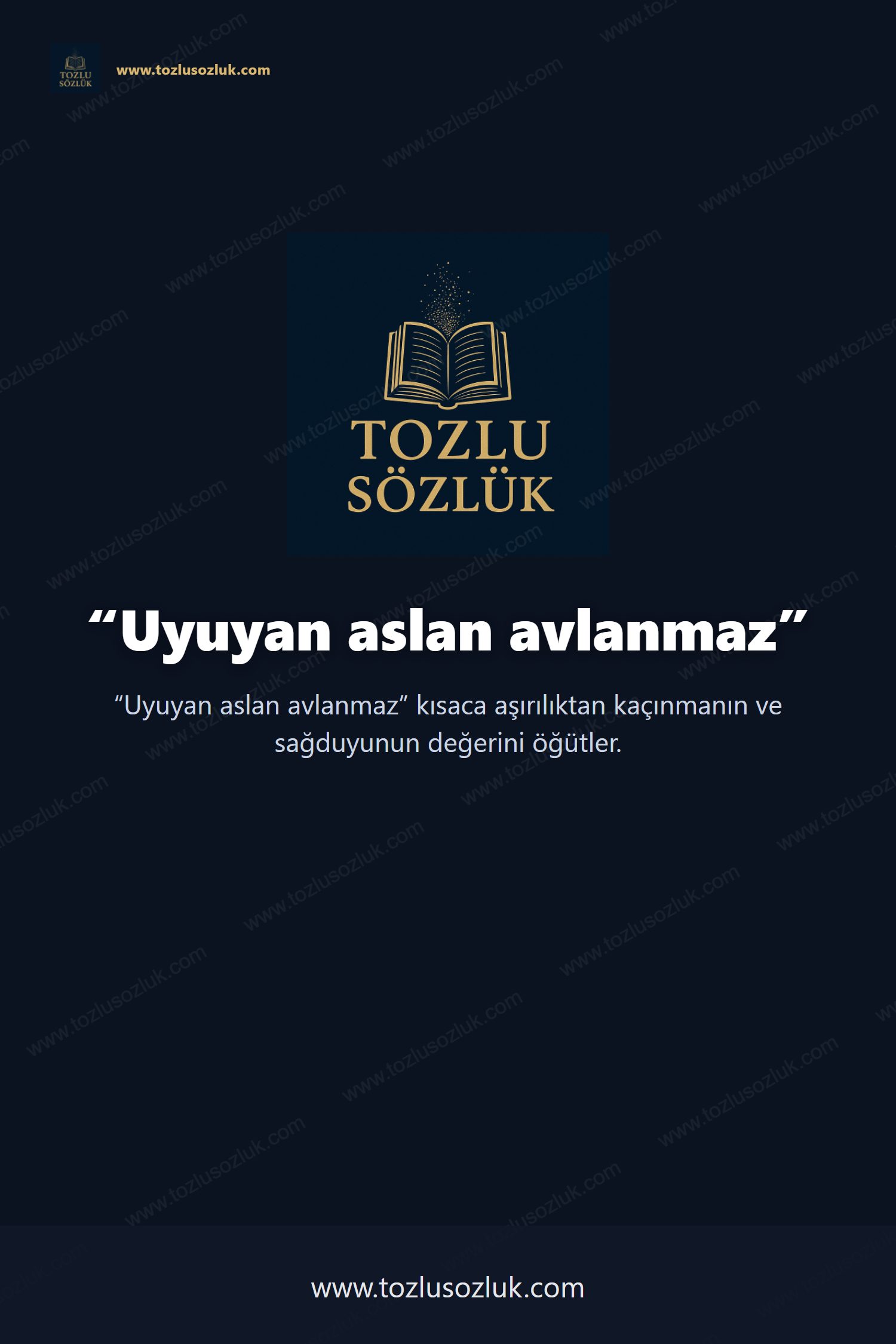 Uyuyan aslan avlanmaz Pinterest görseli