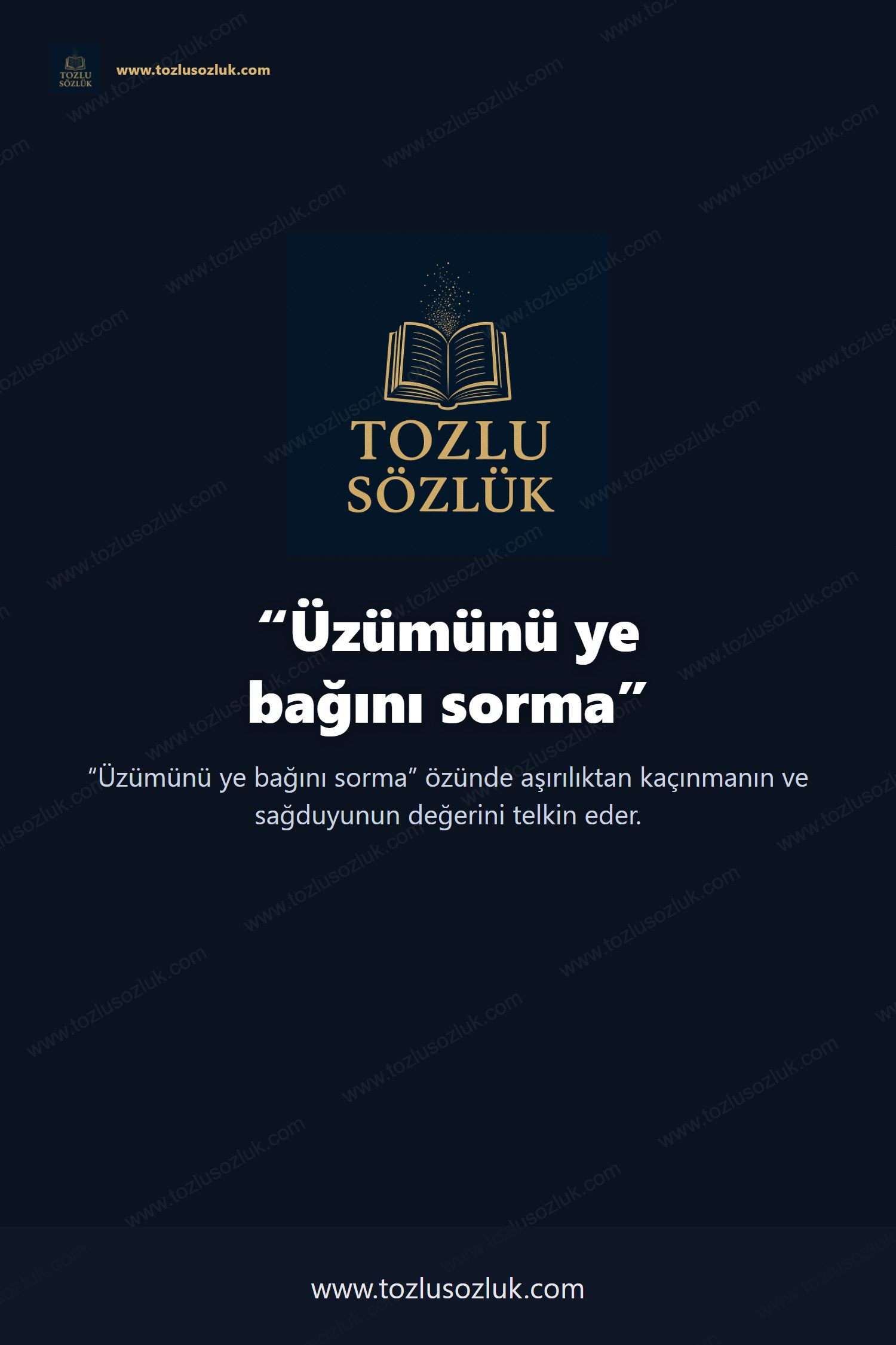 Üzümünü ye bağını sorma Pinterest görseli