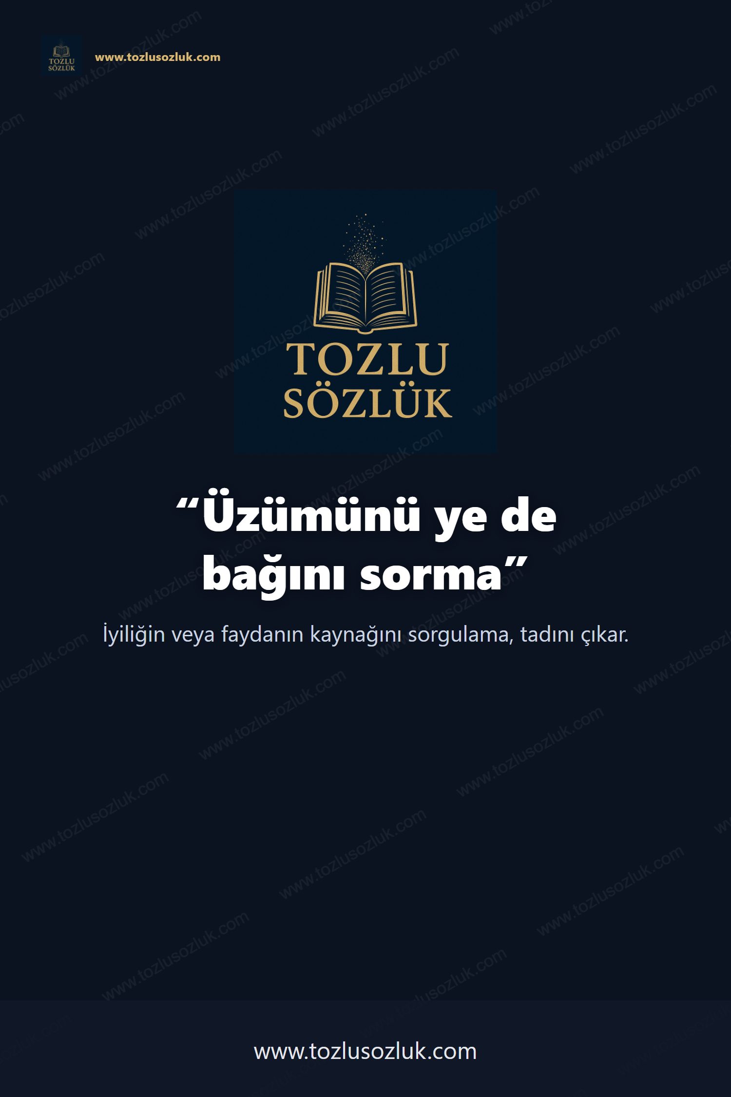 Üzümünü ye de bağını sorma Pinterest görseli