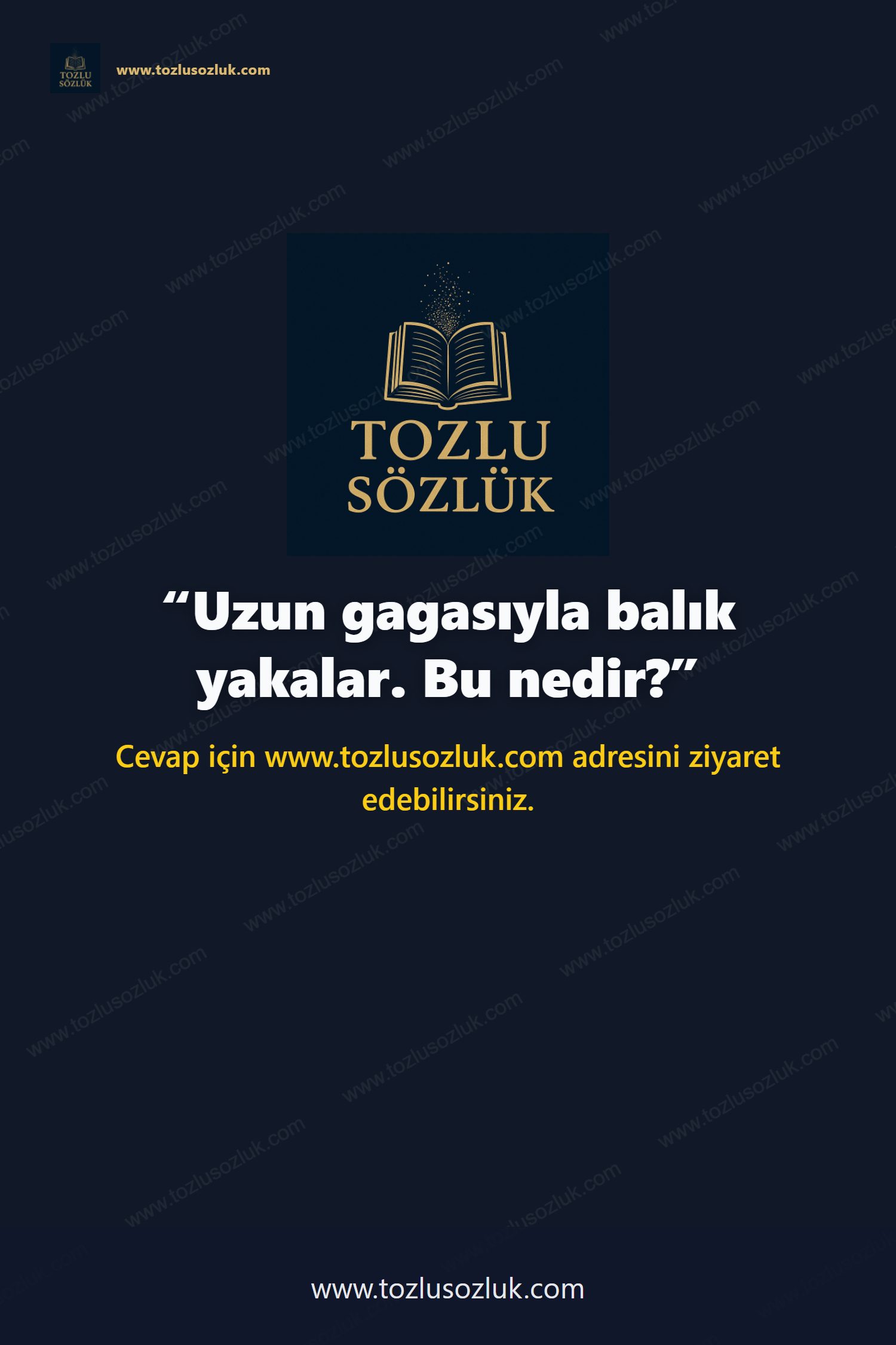 Uzun gagasıyla balık yakalar. Bu nedir? Pinterest görseli