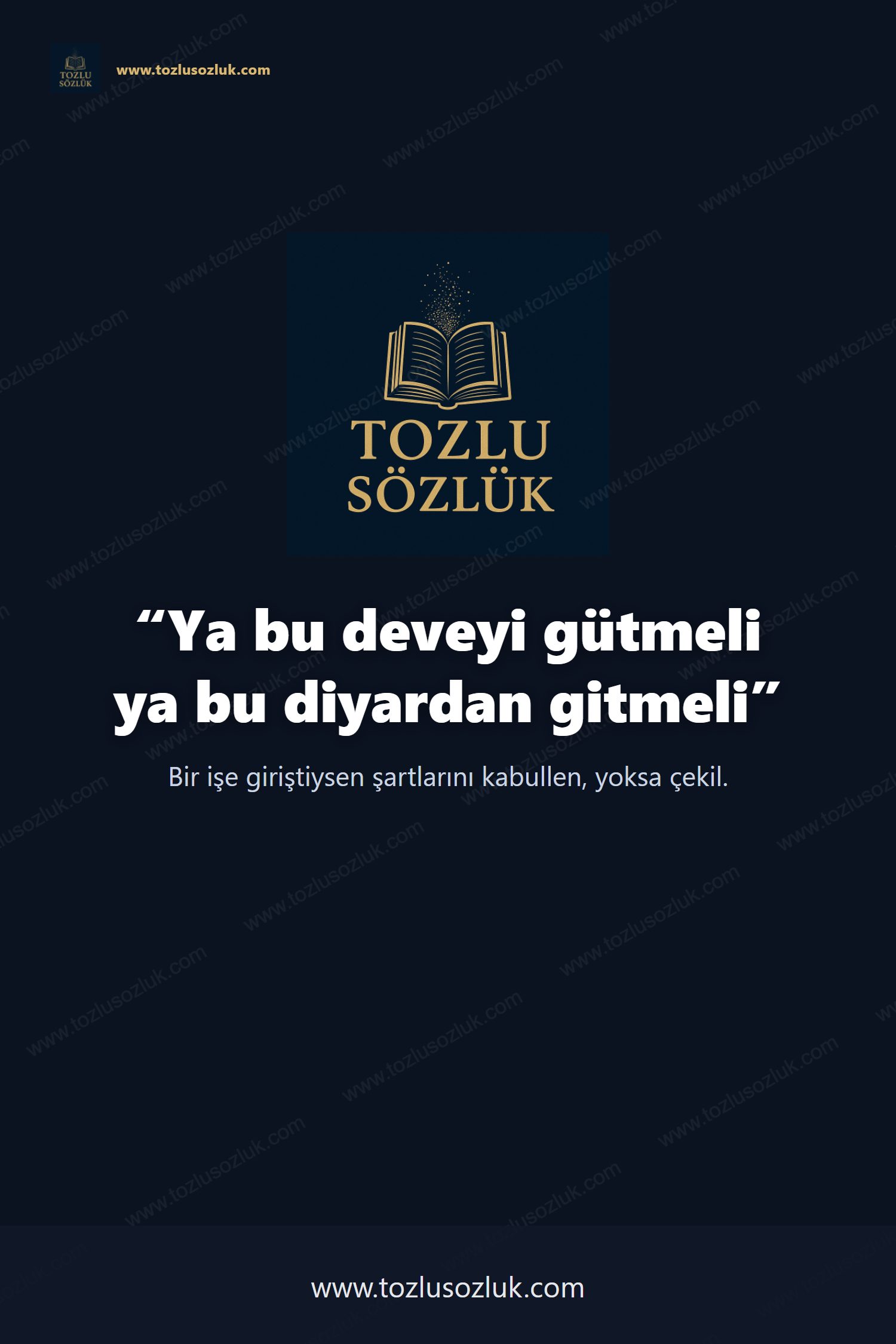 Ya bu deveyi gütmeli ya bu diyardan gitmeli Pinterest görseli