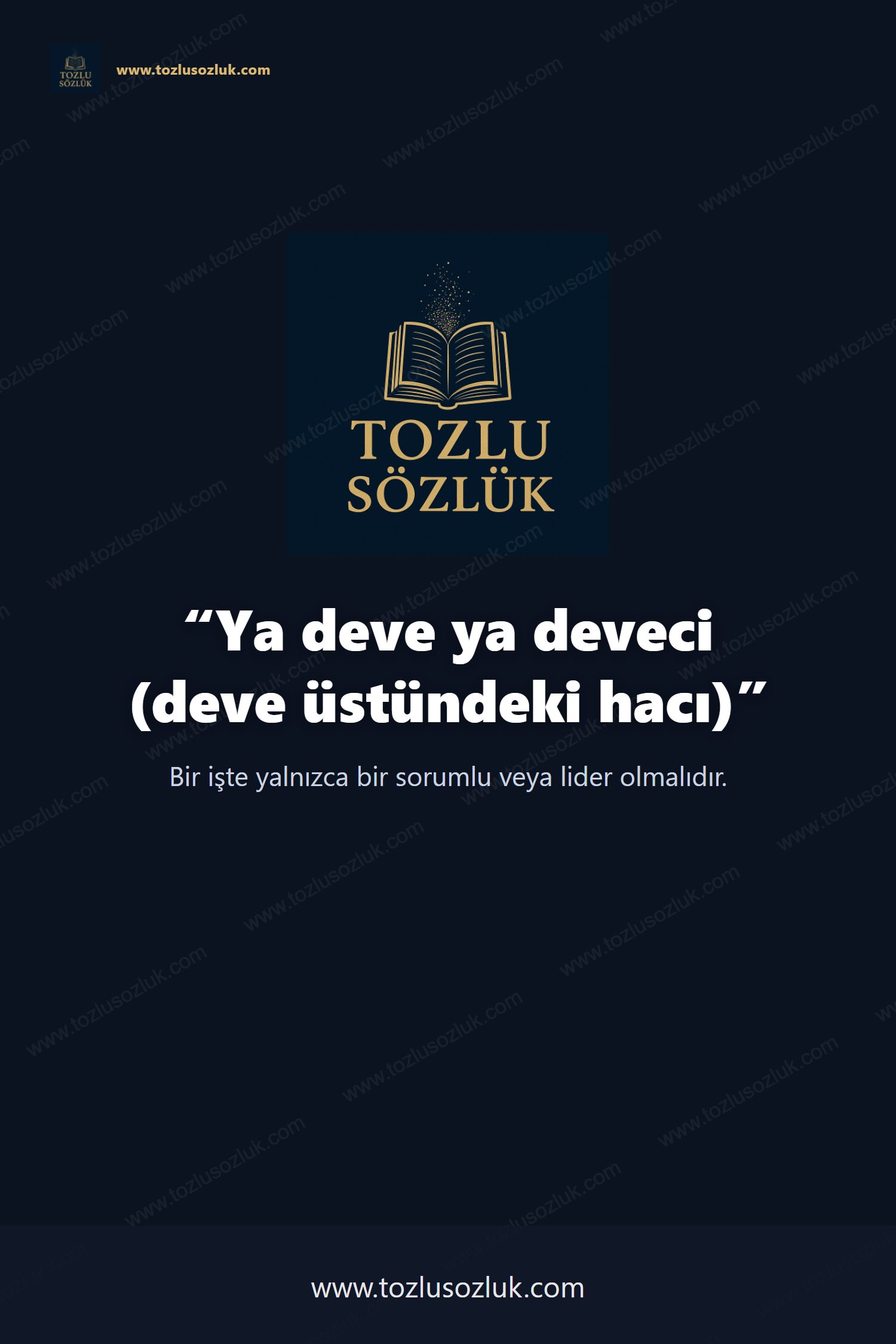 Ya deve ya deveci (deve üstündeki hacı) Pinterest görseli