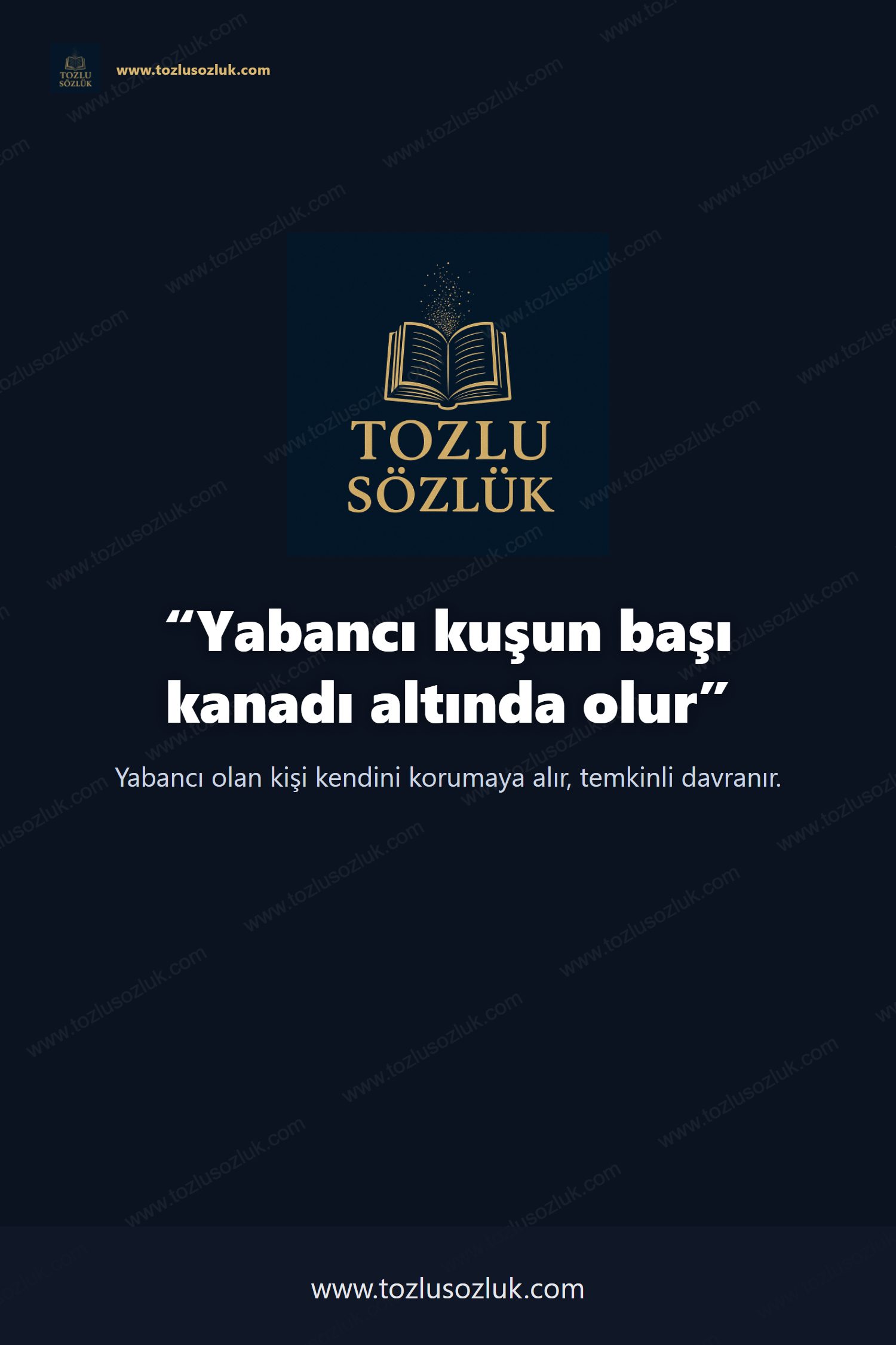 Yabancı kuşun başı kanadı altında olur Pinterest görseli