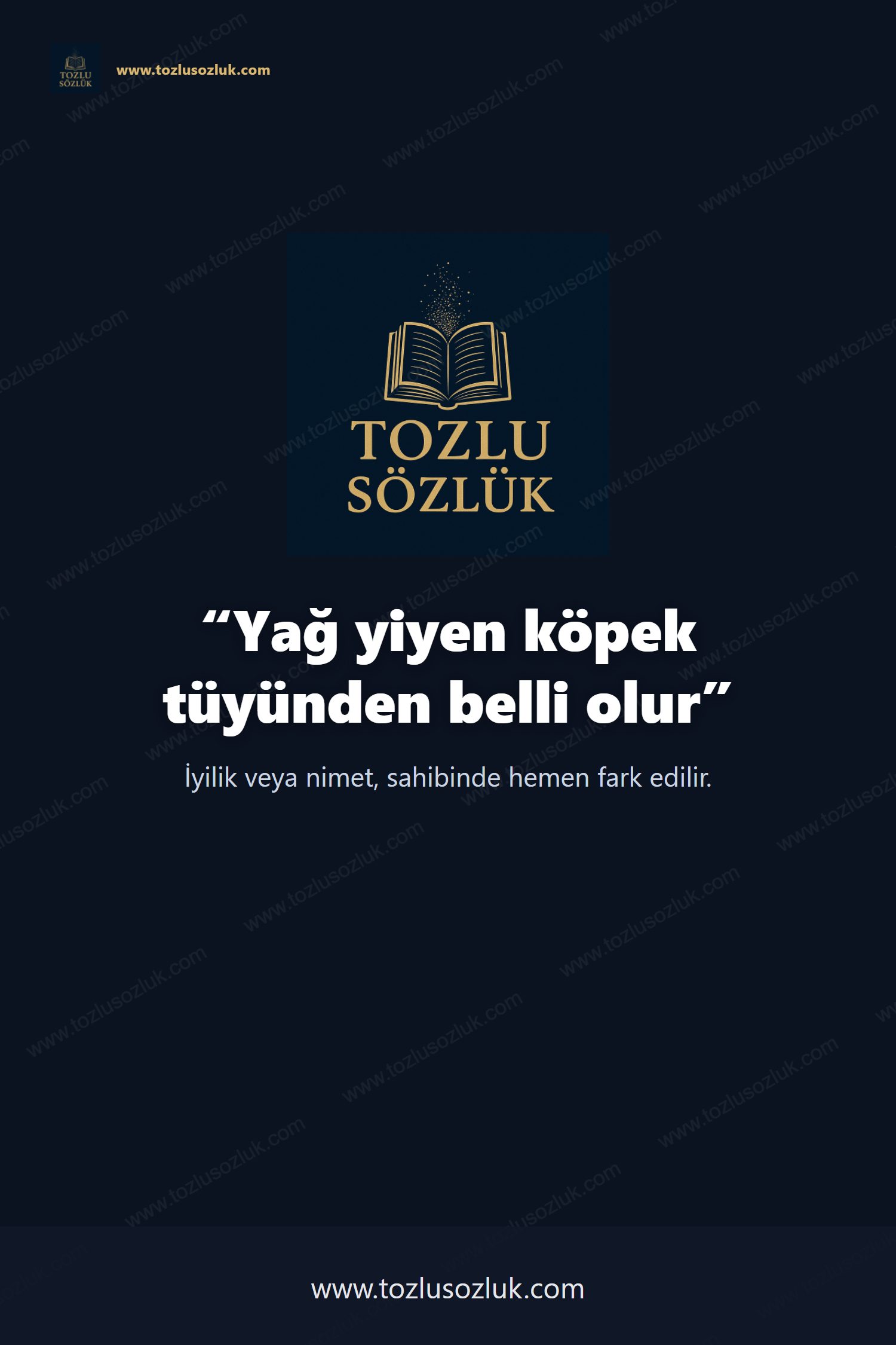 Yağ yiyen köpek tüyünden belli olur Pinterest görseli