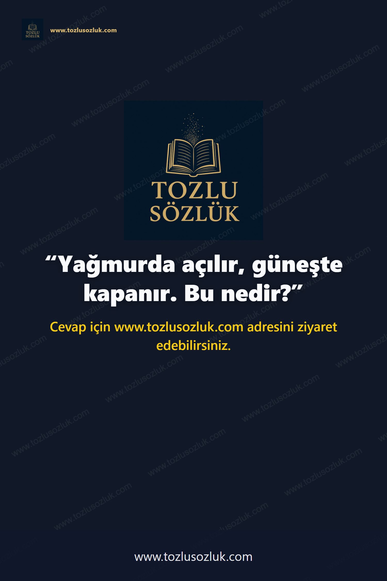 Yağmurda açılır, güneşte kapanır. Bu nedir? Pinterest görseli
