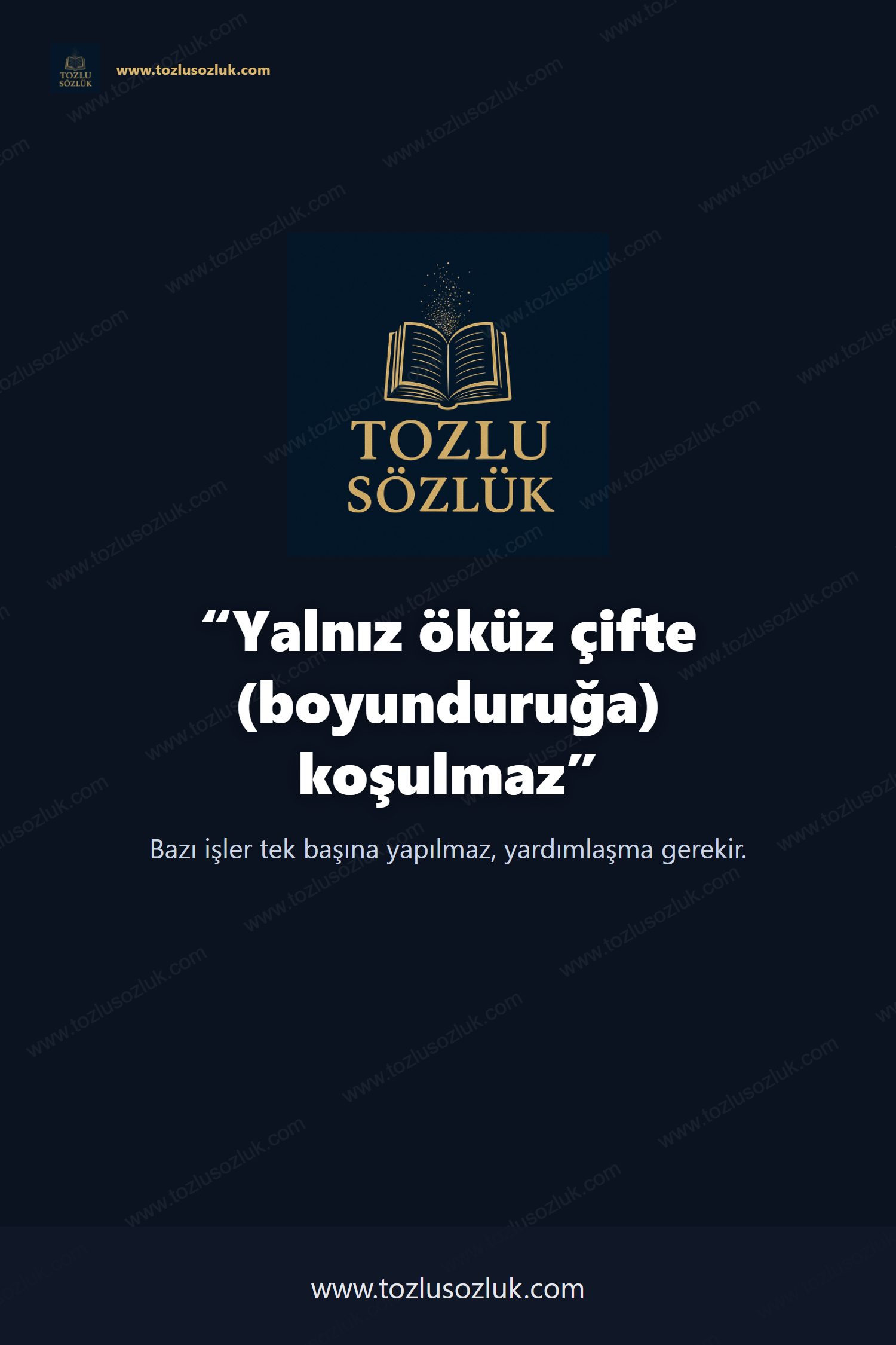 Yalnız öküz çifte (boyunduruğa) koşulmaz Pinterest görseli
