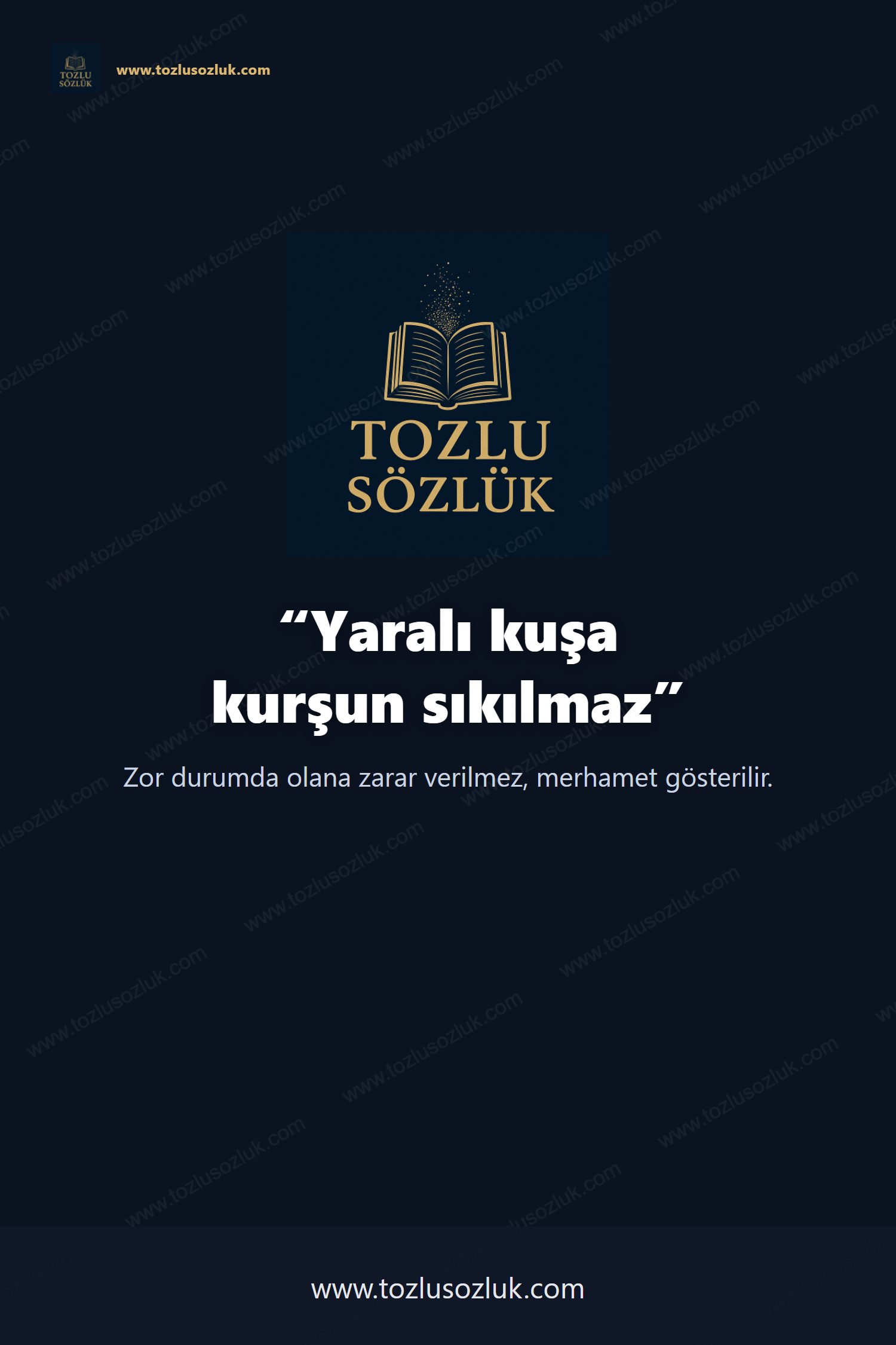 Yaralı kuşa kurşun sıkılmaz Pinterest görseli