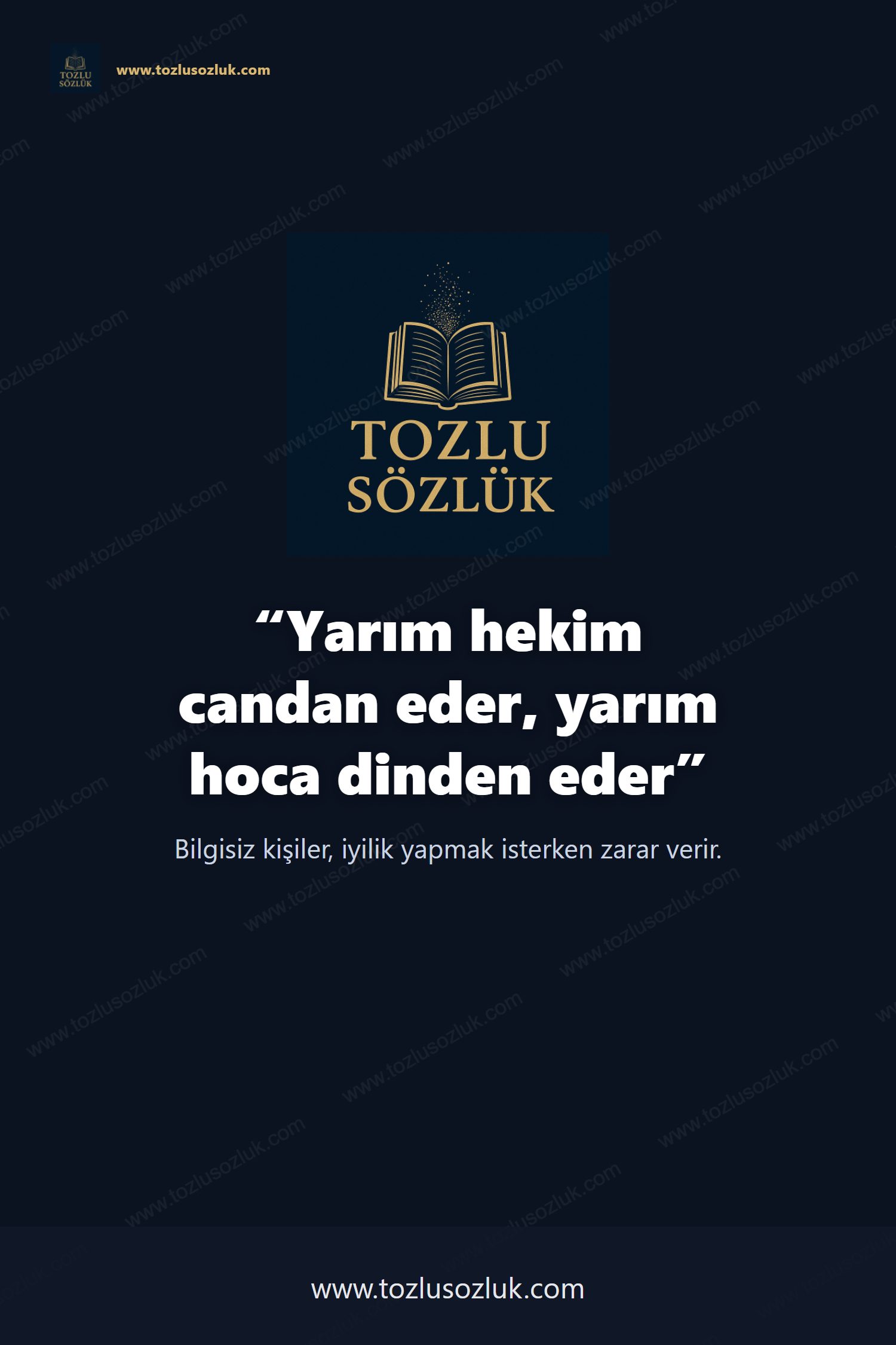 Yarım hekim candan eder, yarım hoca dinden eder Pinterest görseli