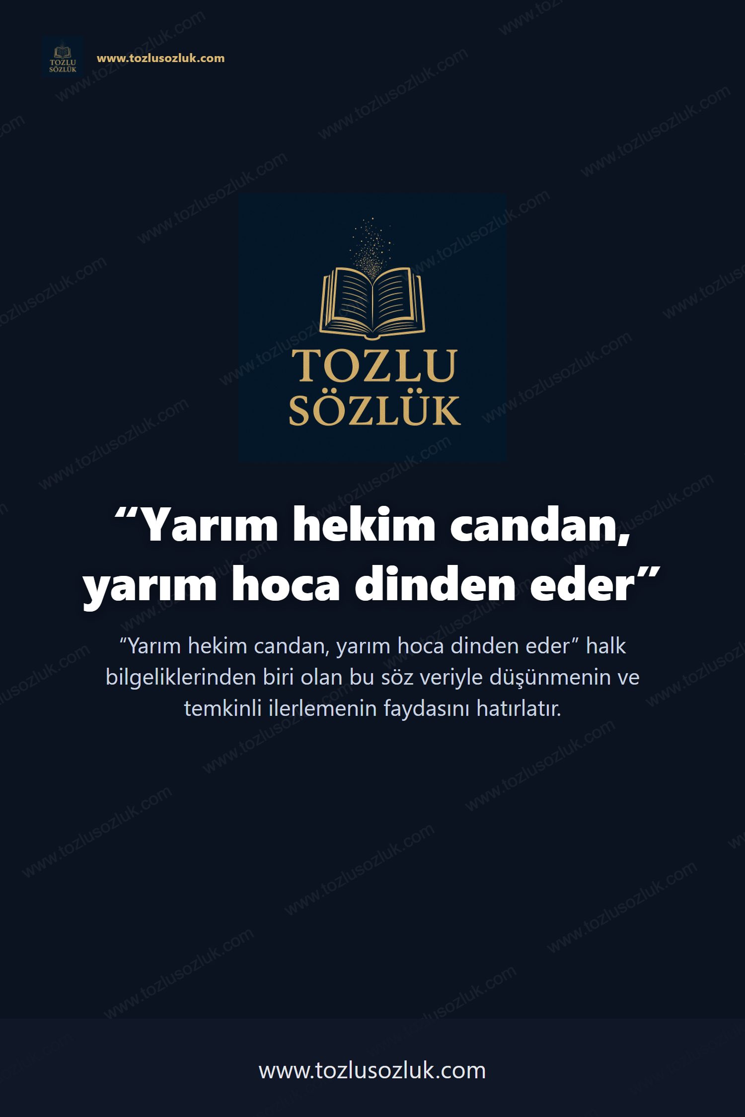 Yarım hekim candan, yarım hoca dinden eder Pinterest görseli
