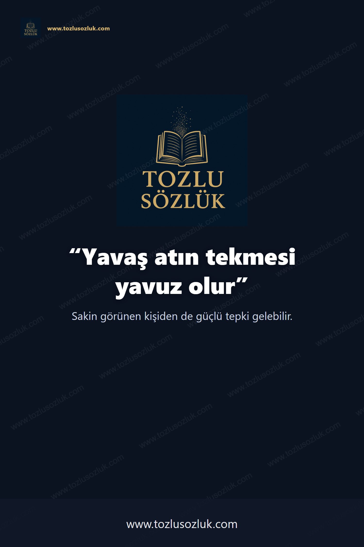 Yavaş atın tekmesi yavuz olur Pinterest görseli