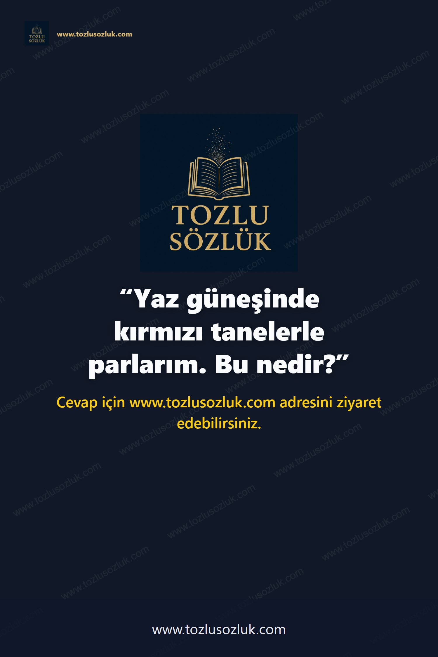 Yaz güneşinde kırmızı tanelerle parlarım. Bu nedir? Pinterest görseli
