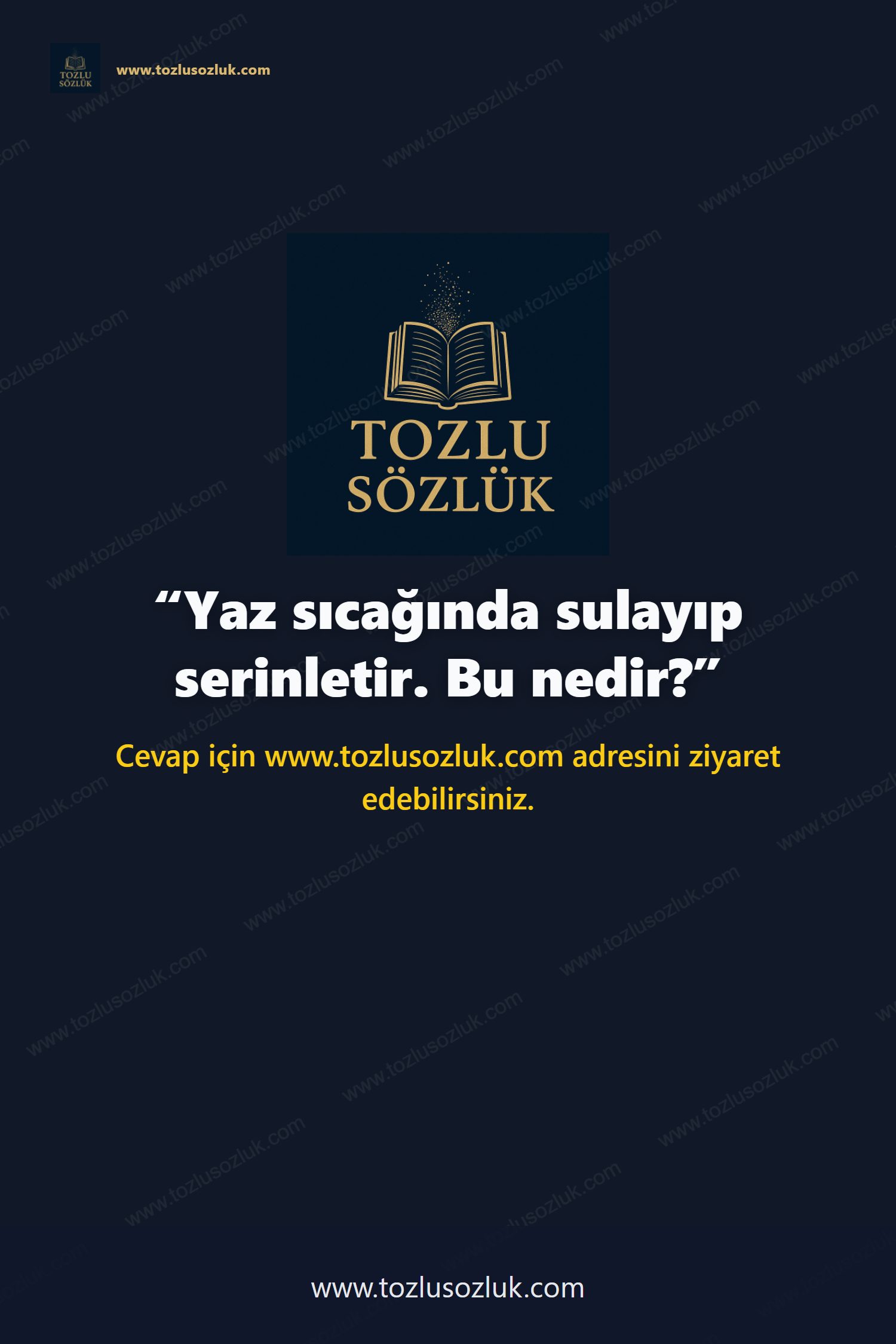 Yaz sıcağında sulayıp serinletir. Bu nedir? Pinterest görseli