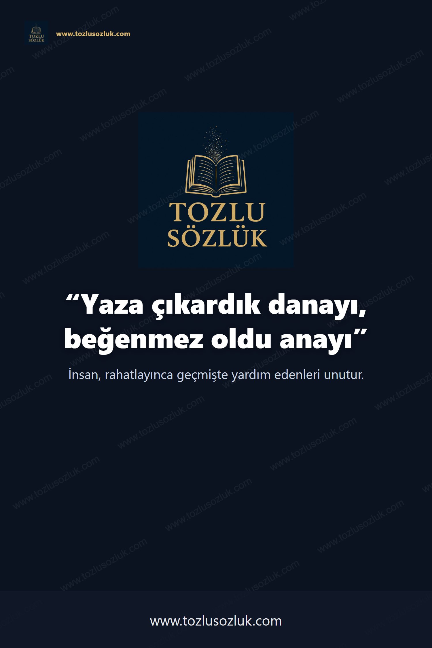 Yaza çıkardık danayı, beğenmez oldu anayı Pinterest görseli