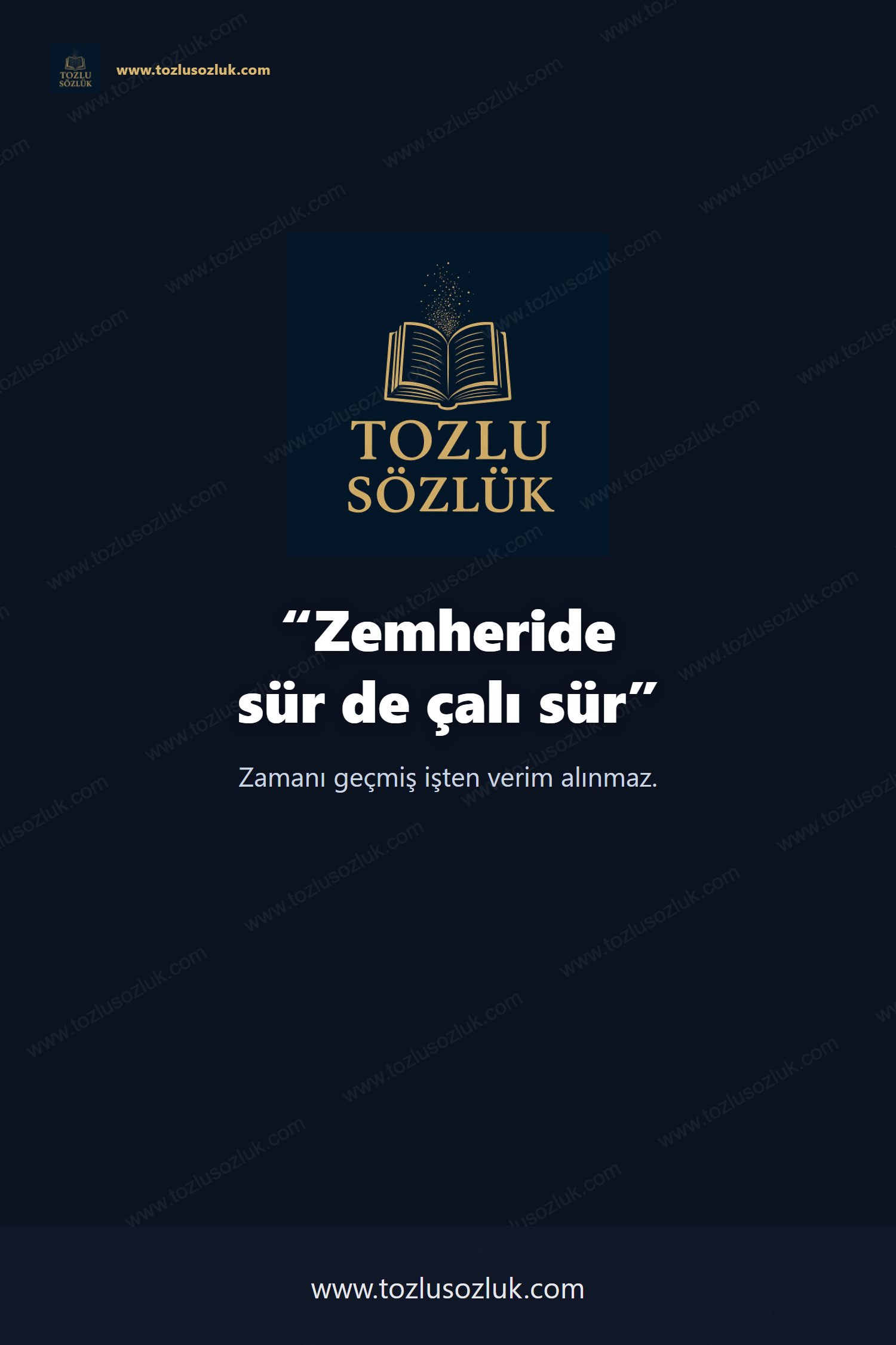 Zemheride sür de çalı sür Pinterest görseli