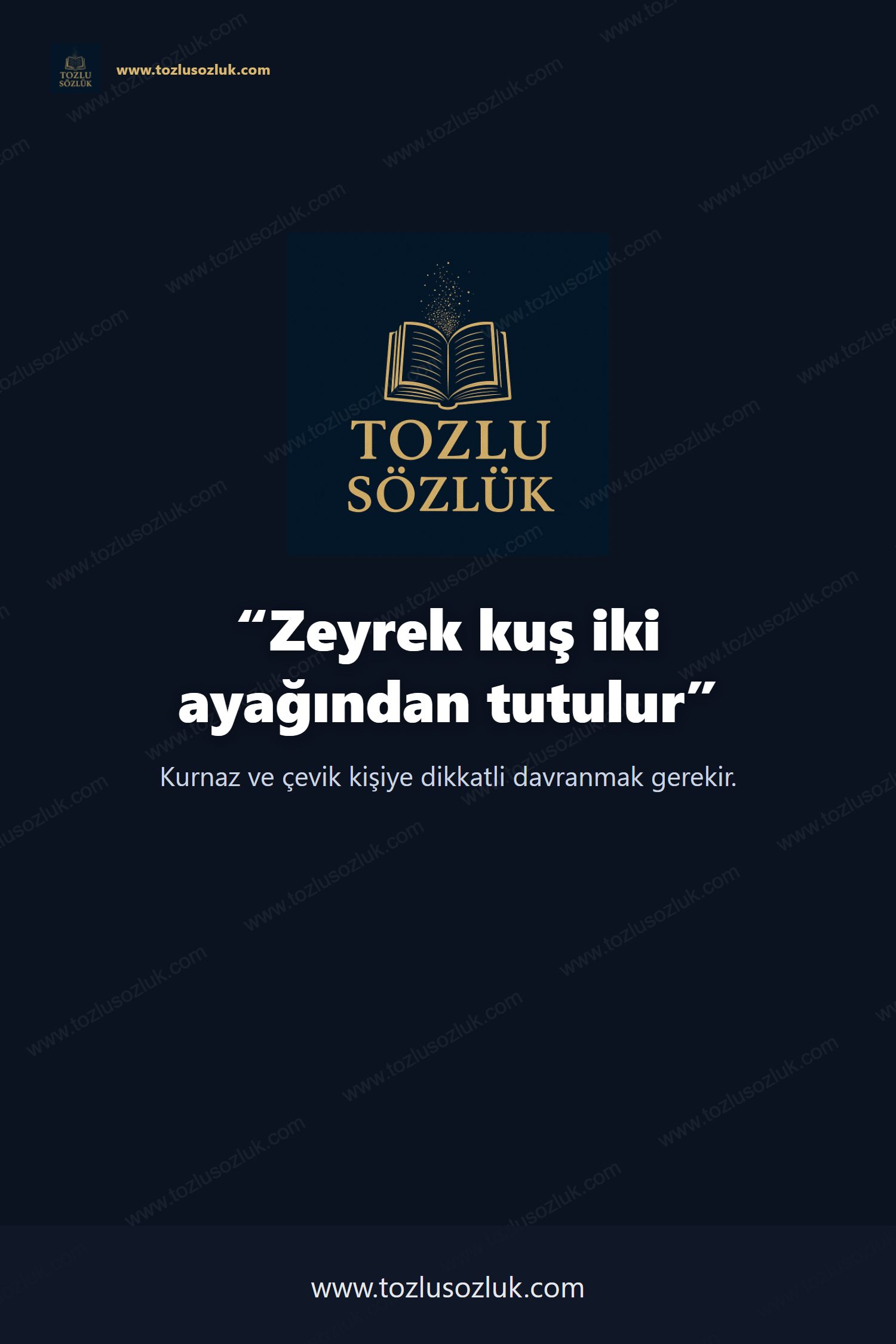 Zeyrek kuş iki ayağından tutulur Pinterest görseli