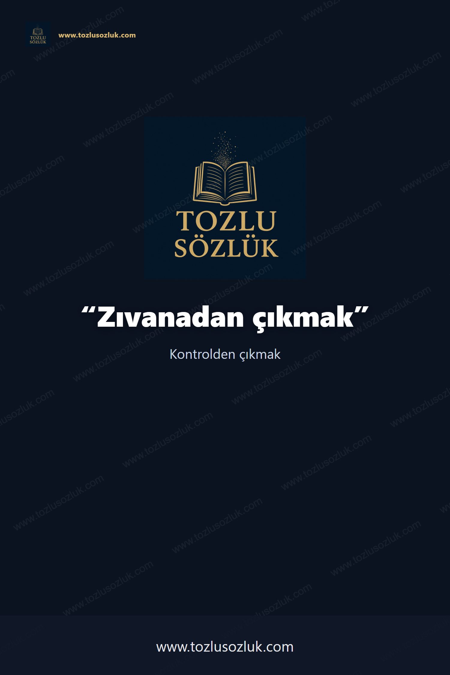 Zıvanadan çıkmak Pinterest görseli